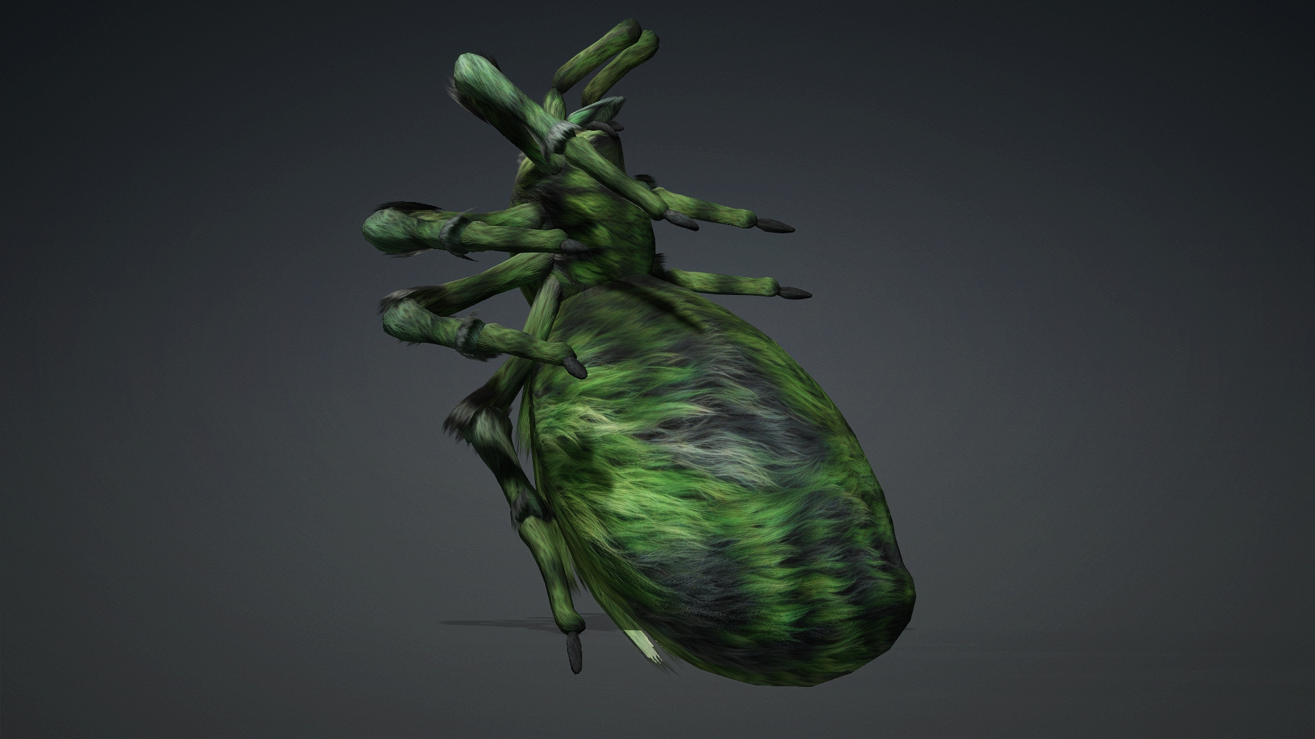Spider_B4 - Image 15