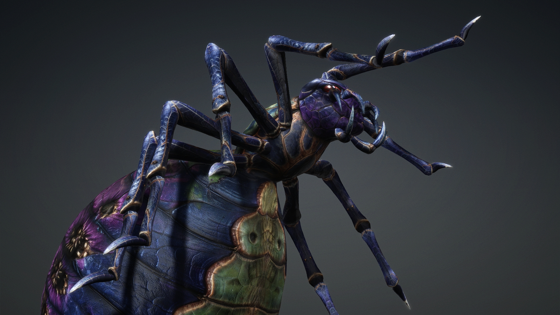 Spider_C3 - Image 15
