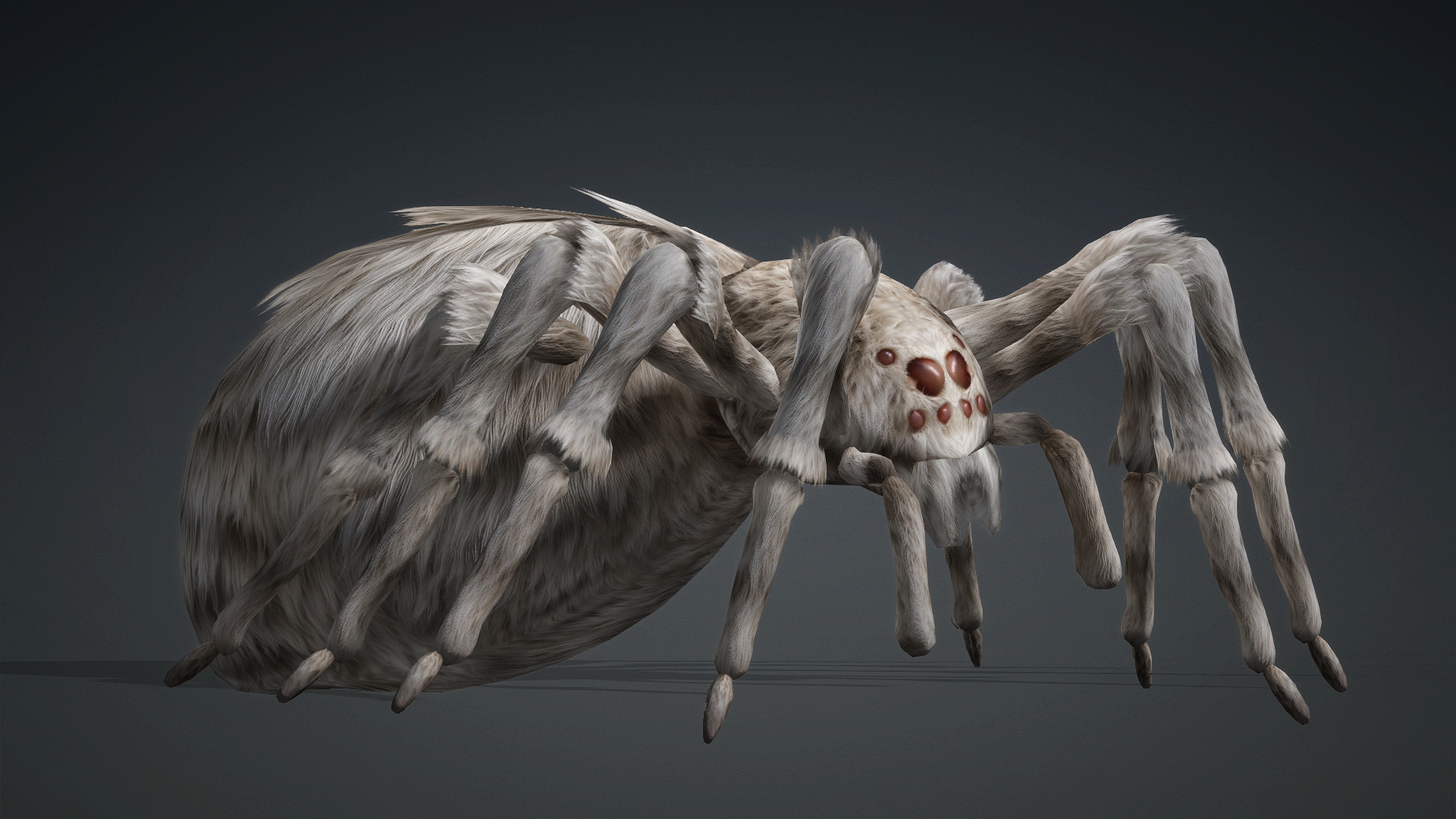 Spider_B1 - Image 16