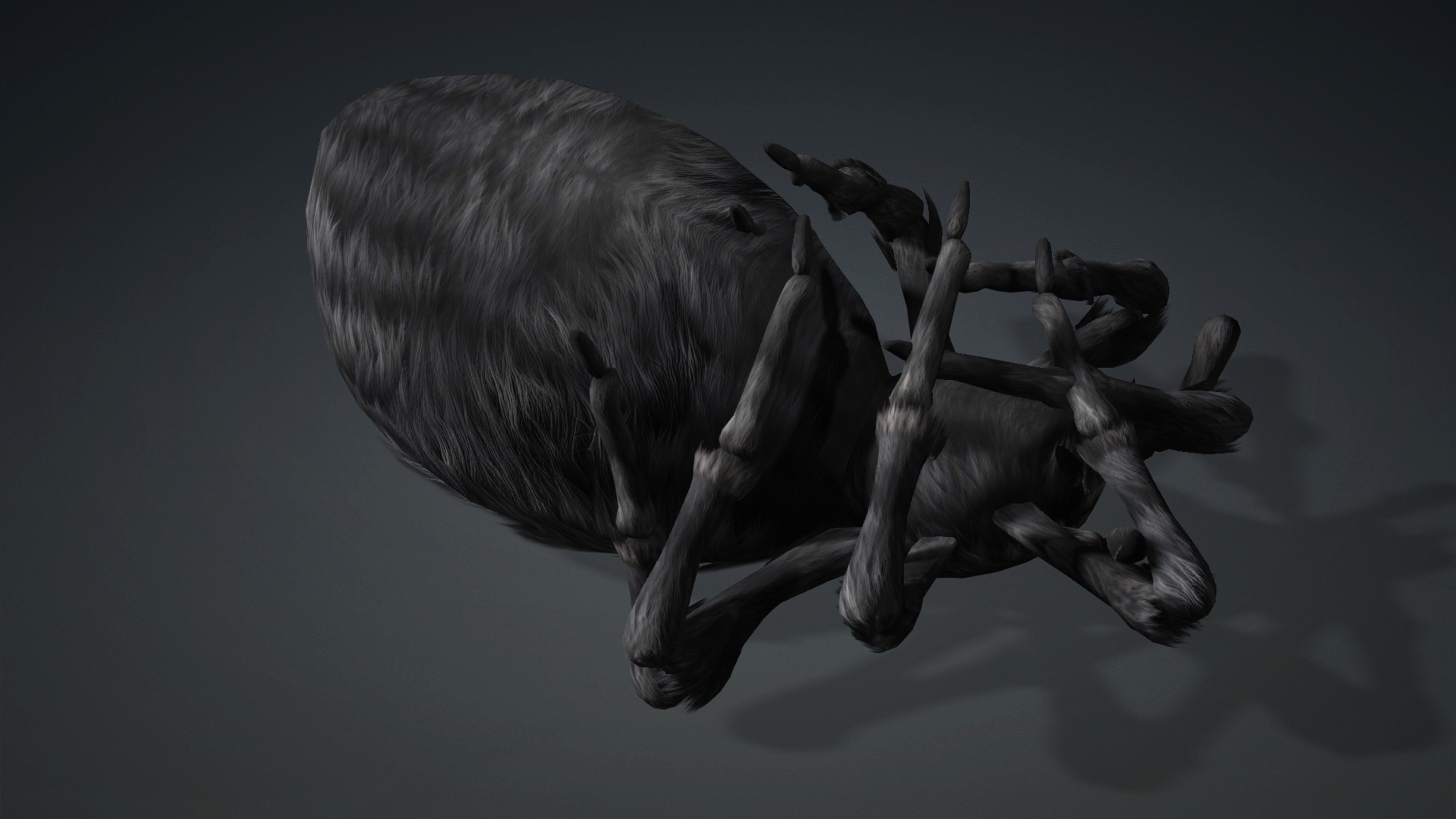 Spider_B2 - Image 16