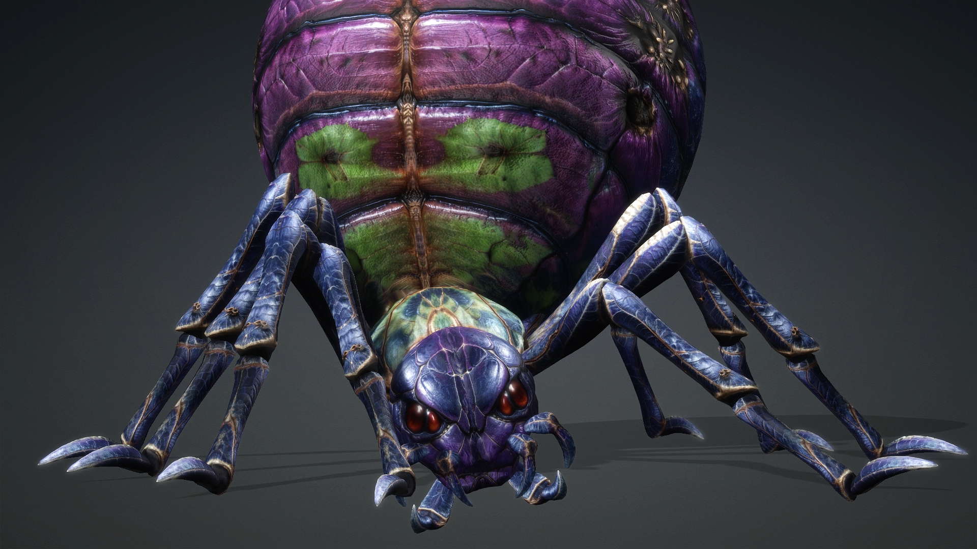 Spider_C3 - Image 16