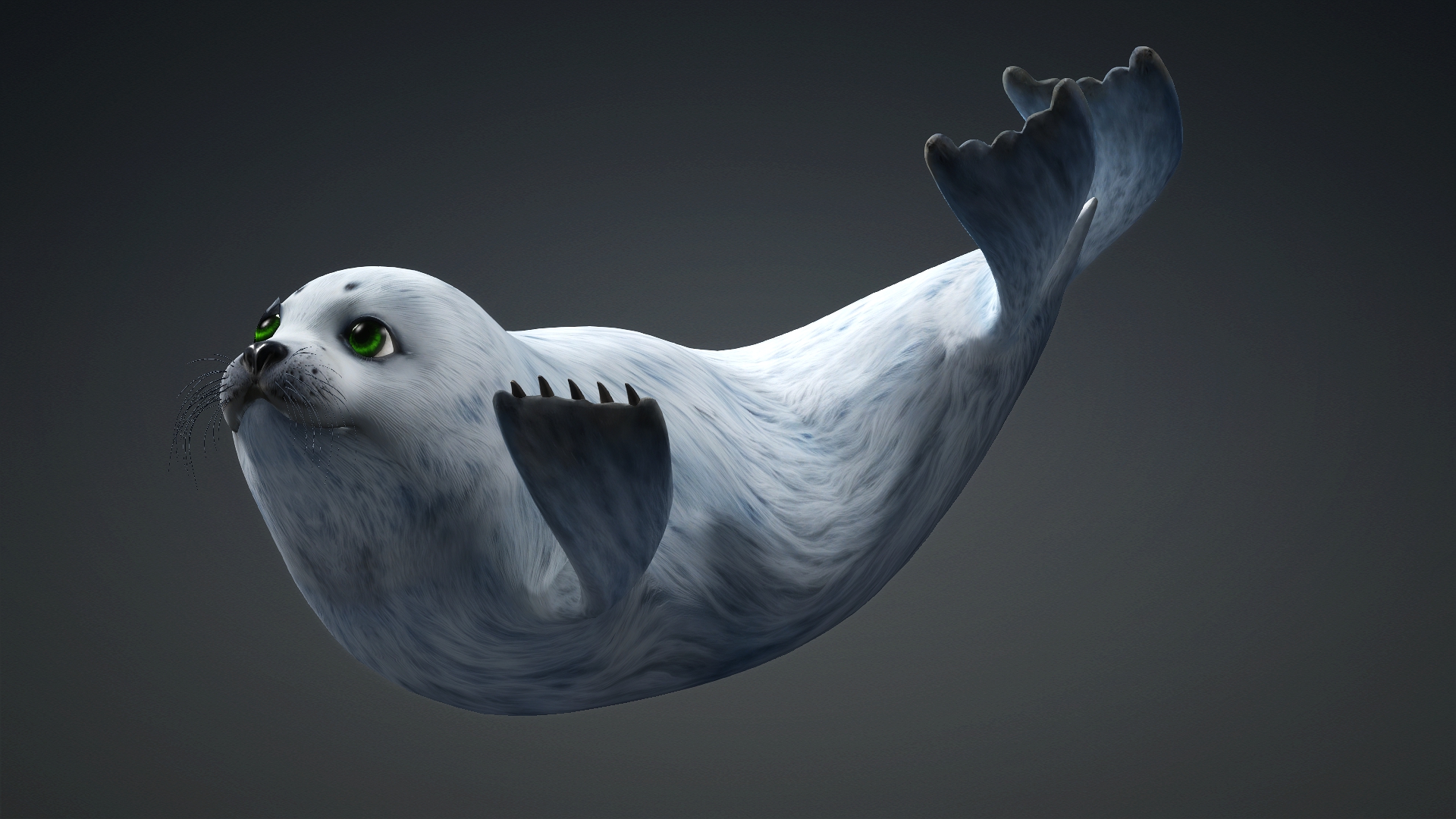 Harp Seal_A5 - Image 16