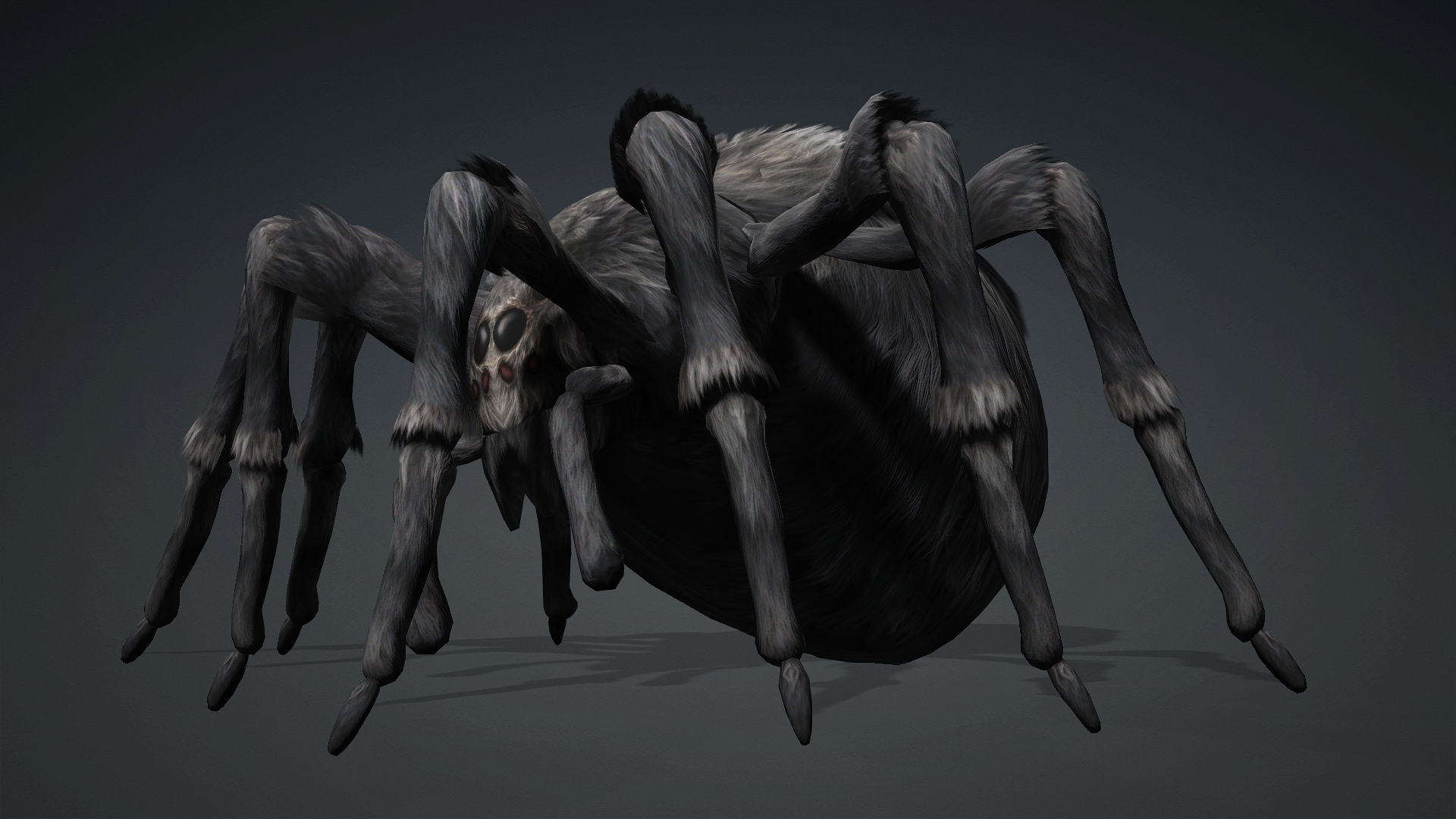 Spider_B2 - Image 17