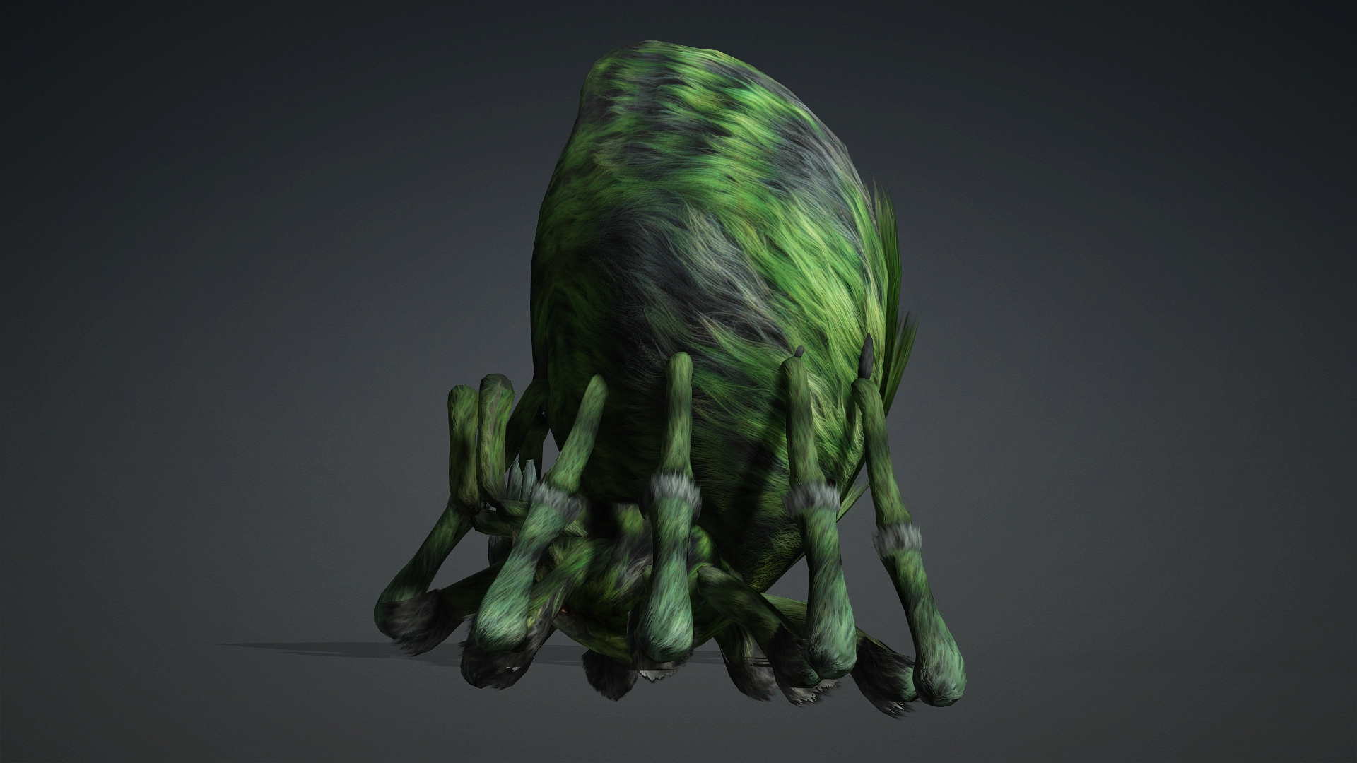 Spider_B4 - Image 17