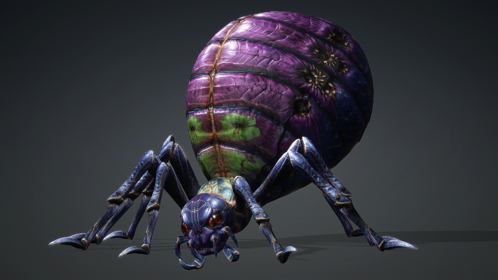 Spider_C3 - Image 17