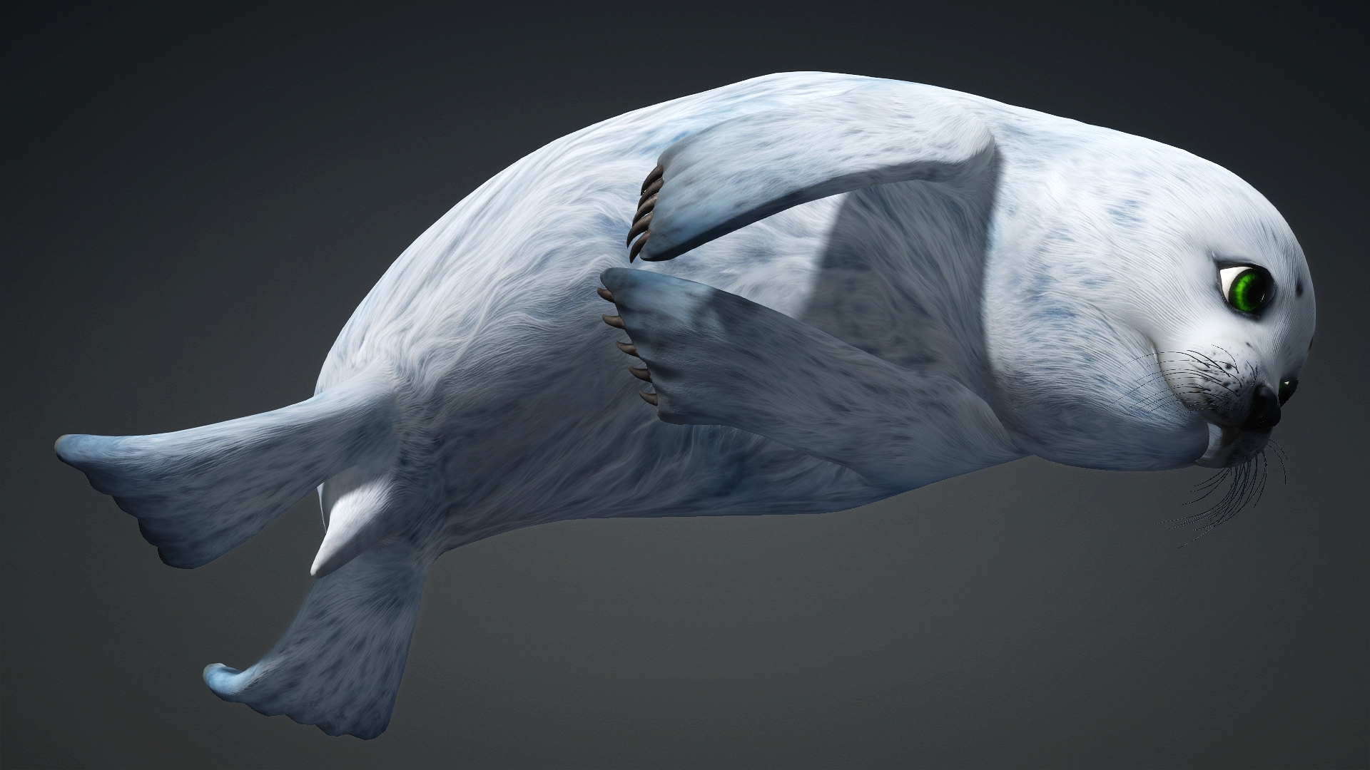 Harp Seal_A5 - Image 17