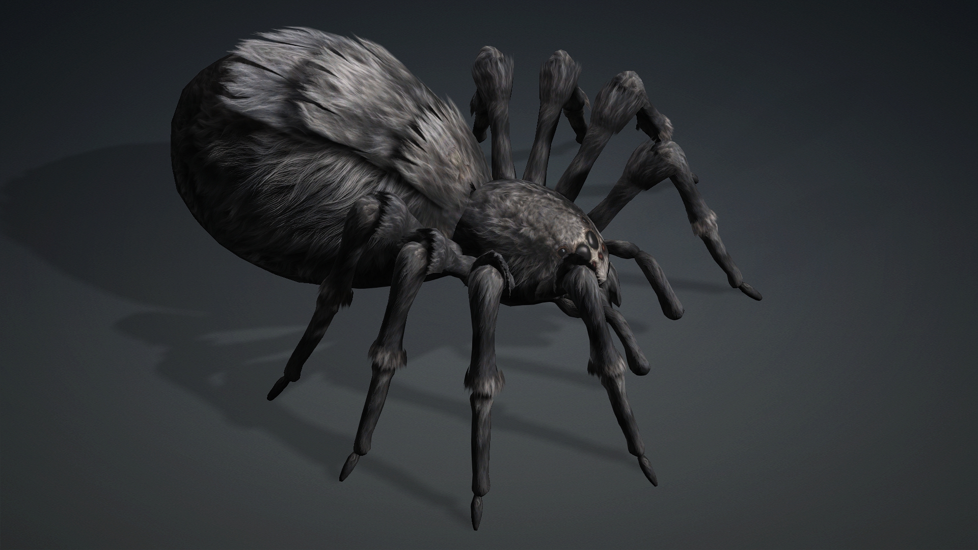 Spider_B2 - Image 4