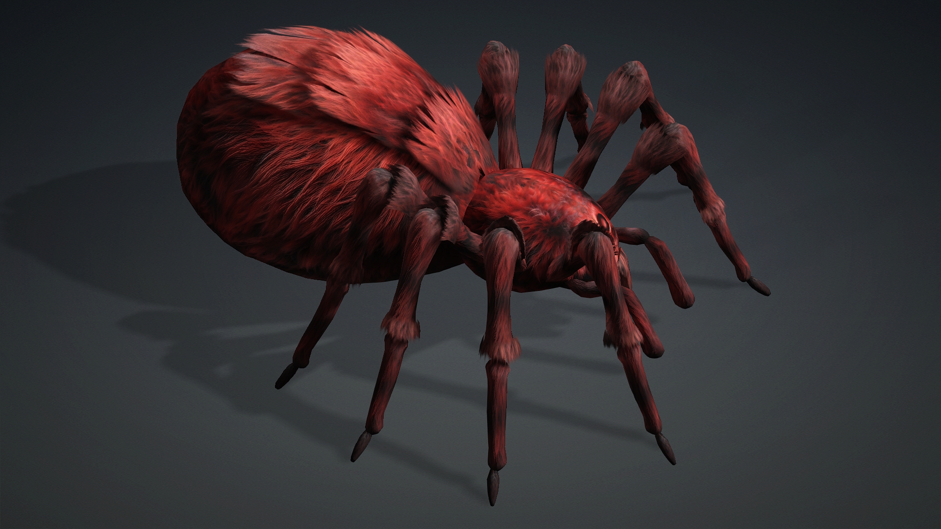 Spider_B3 - Image 4