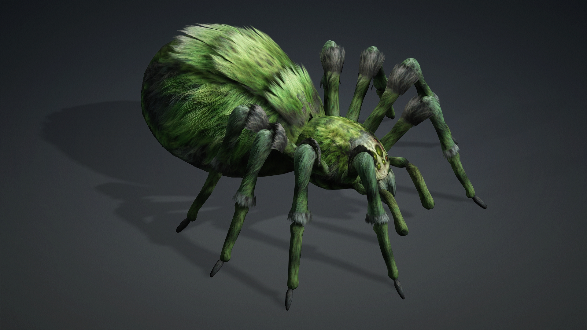 Spider_B4 - Image 4
