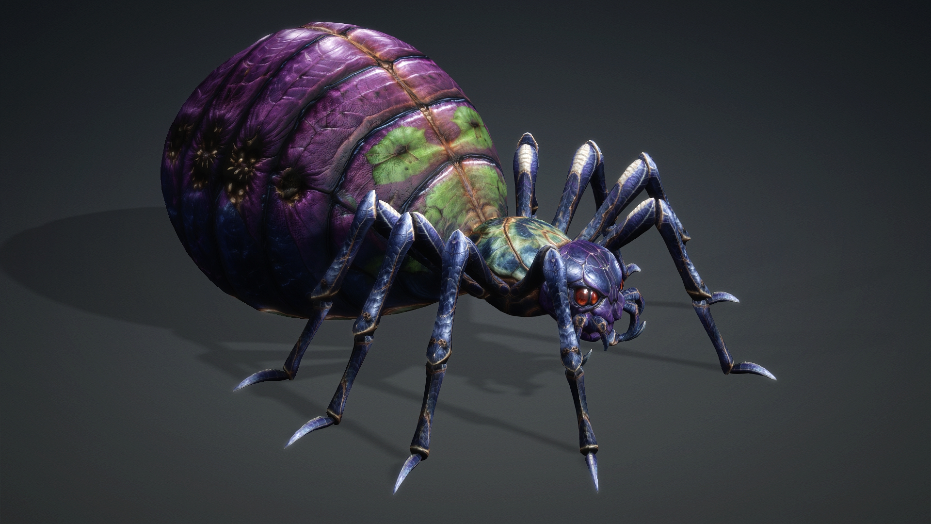 Spider_C3 - Image 4