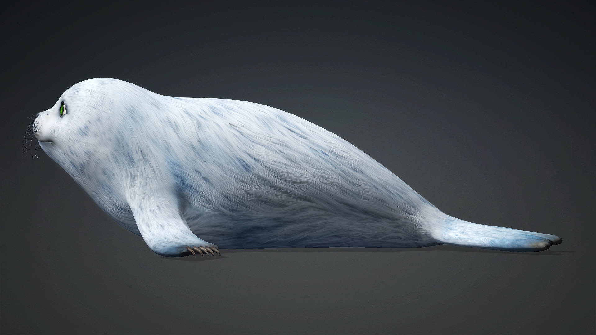 Harp Seal_A5 - Image 4