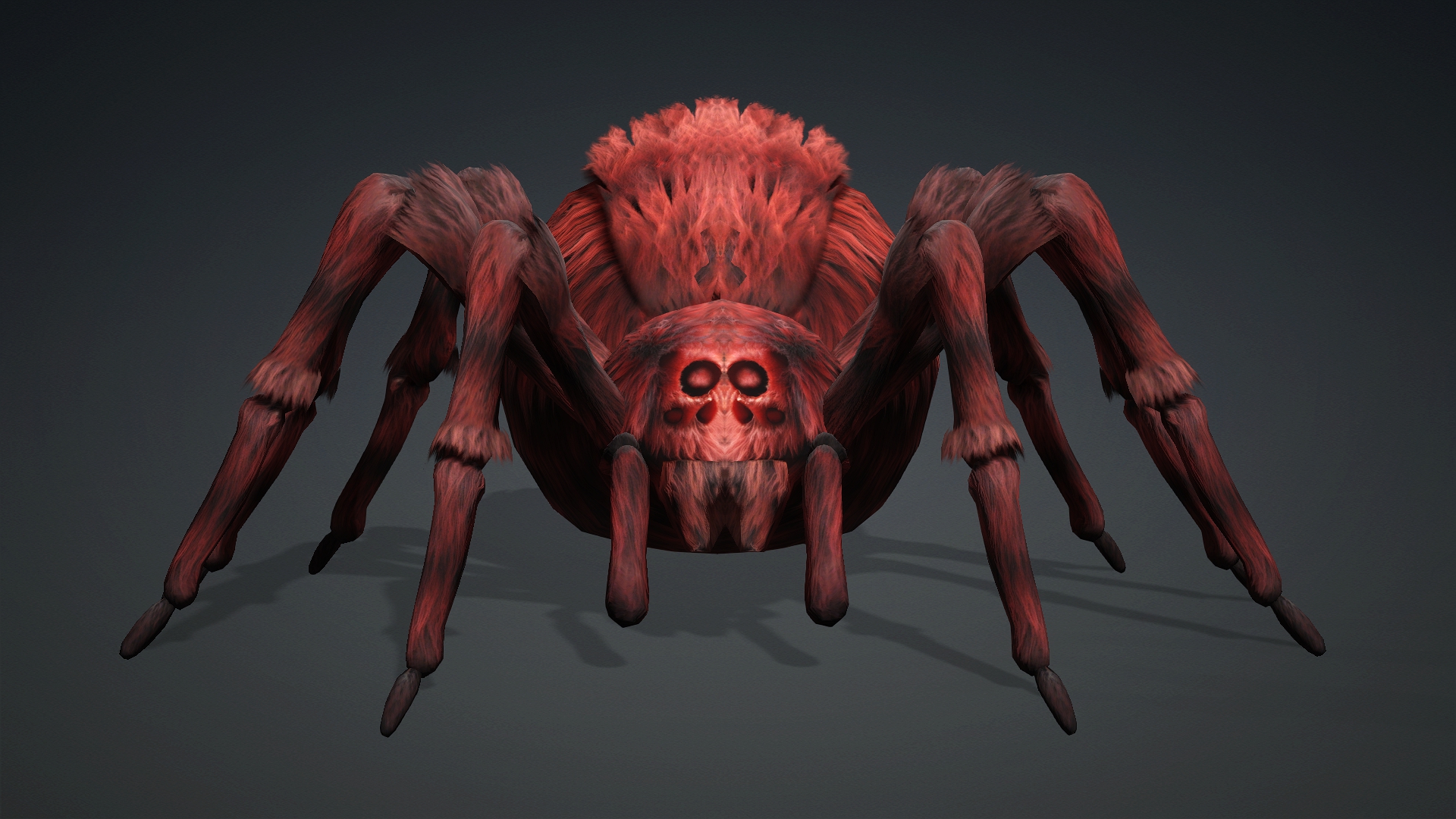 Spider_B3 - Image 5