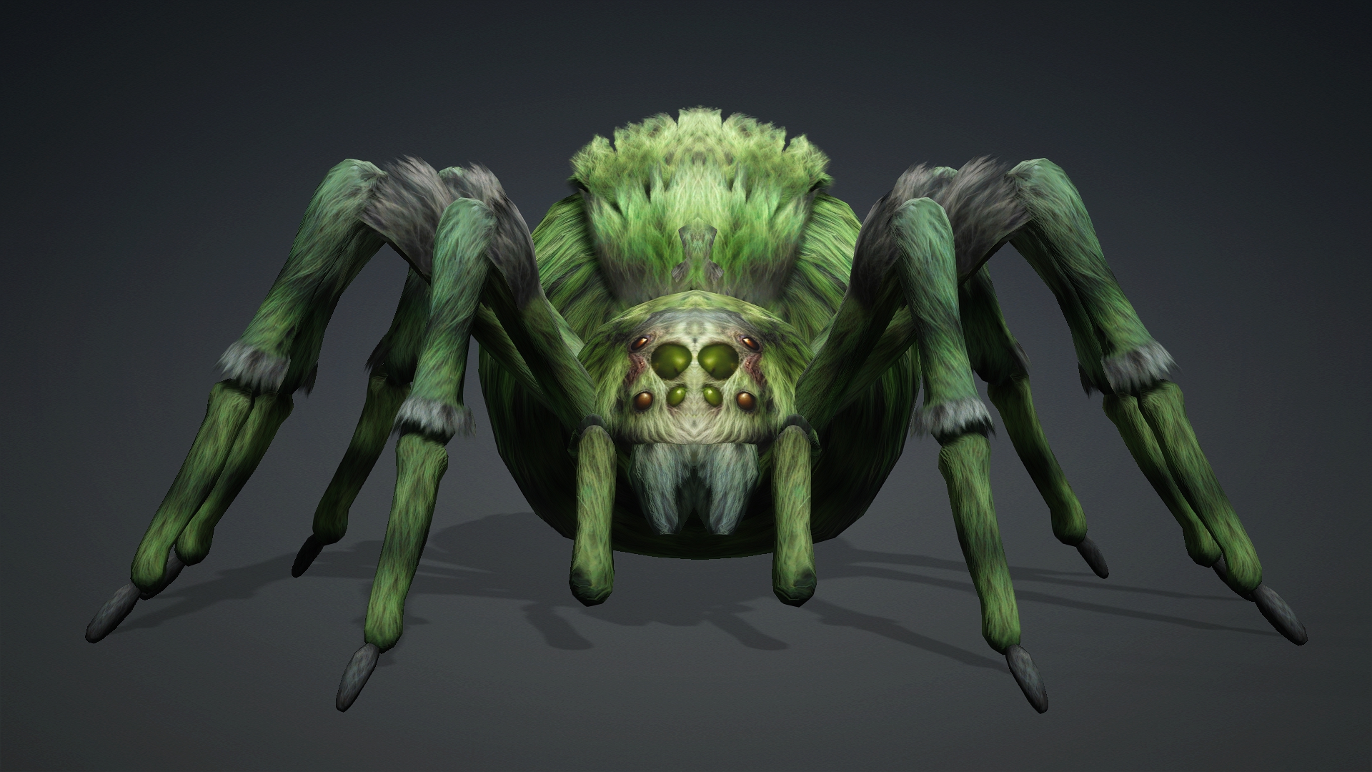 Spider_B4 - Image 5