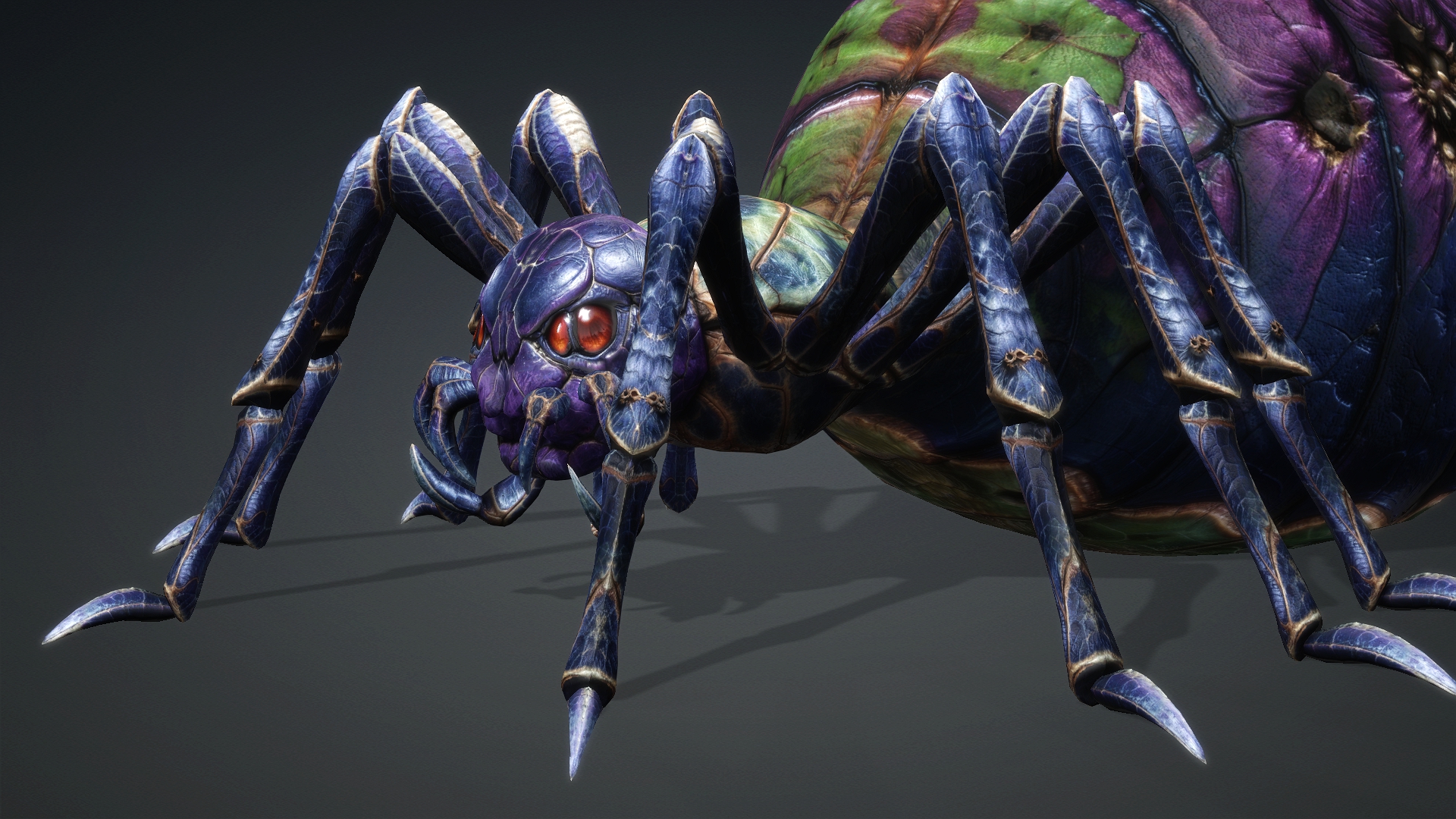Spider_C3 - Image 5