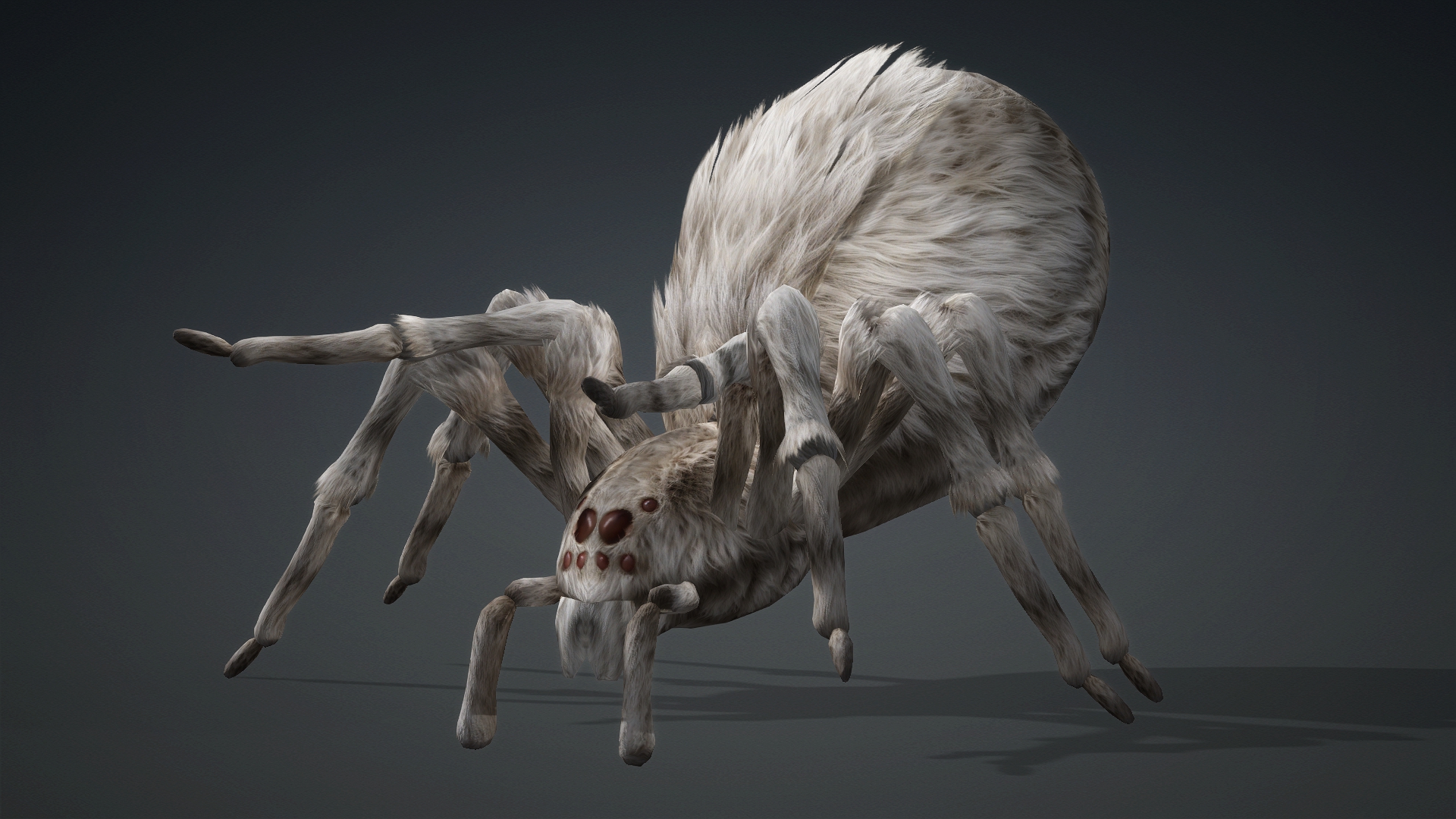 Spider_B1 - Image 6