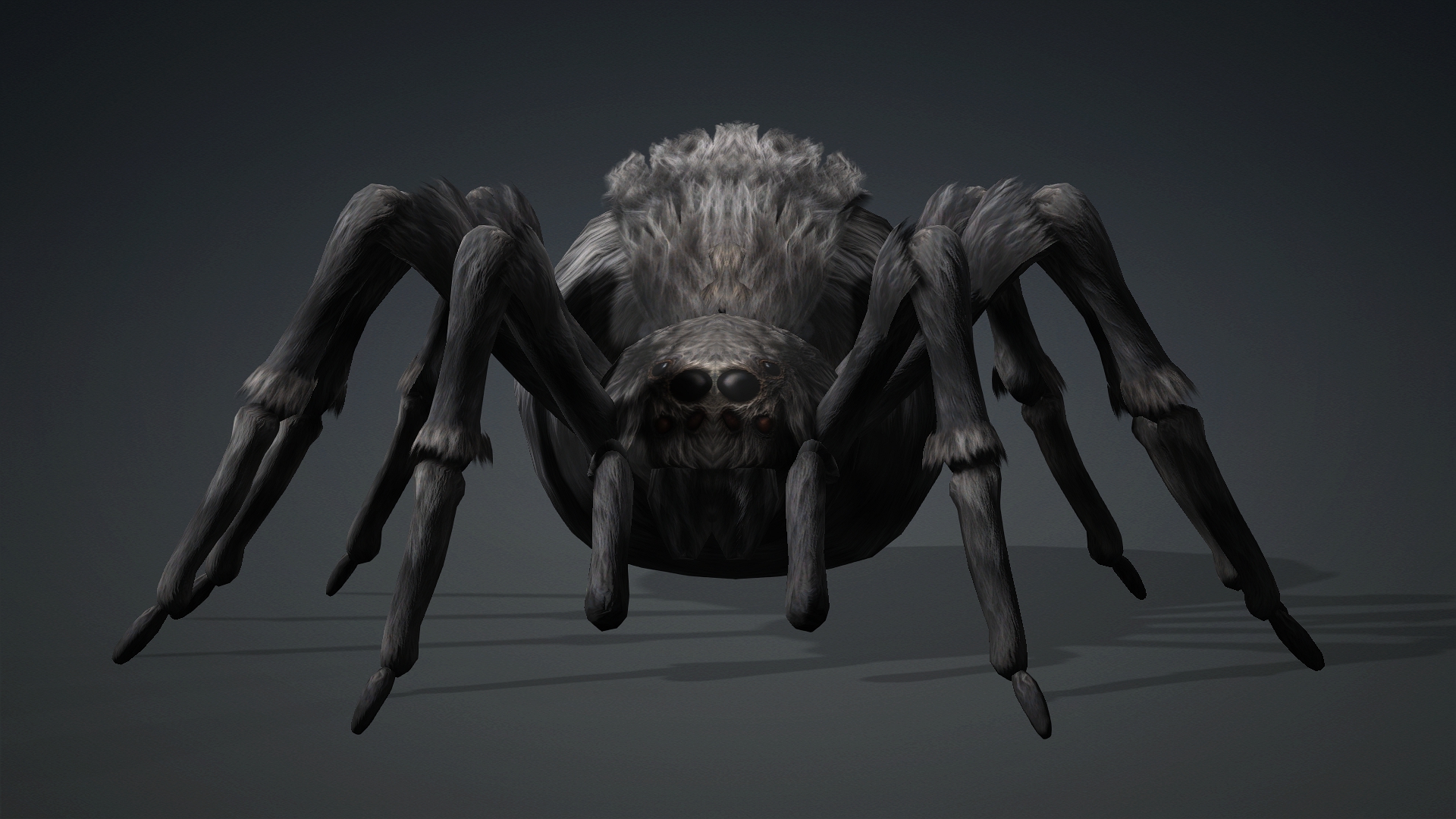 Spider_B2 - Image 6