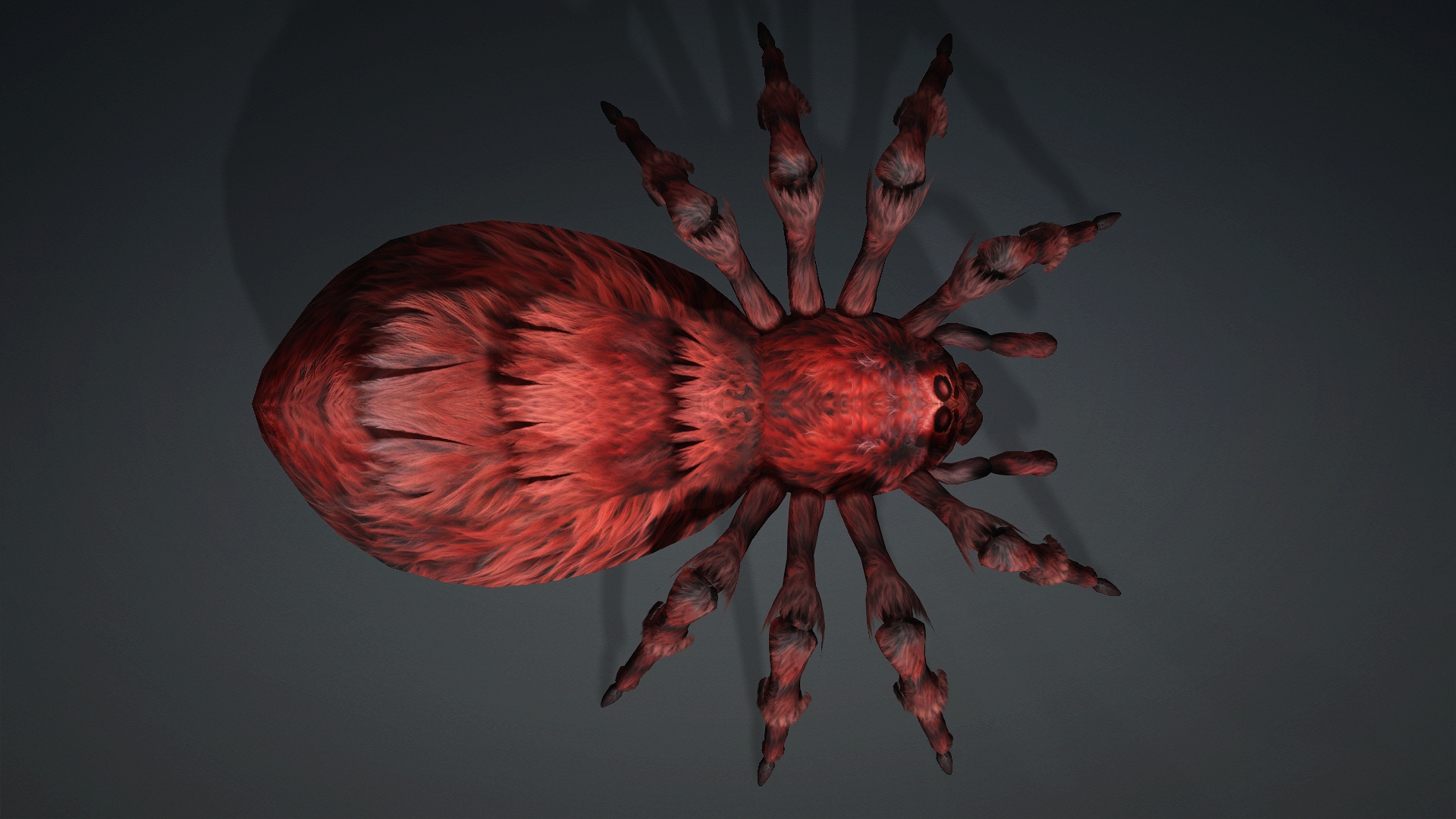 Spider_B3 - Image 6