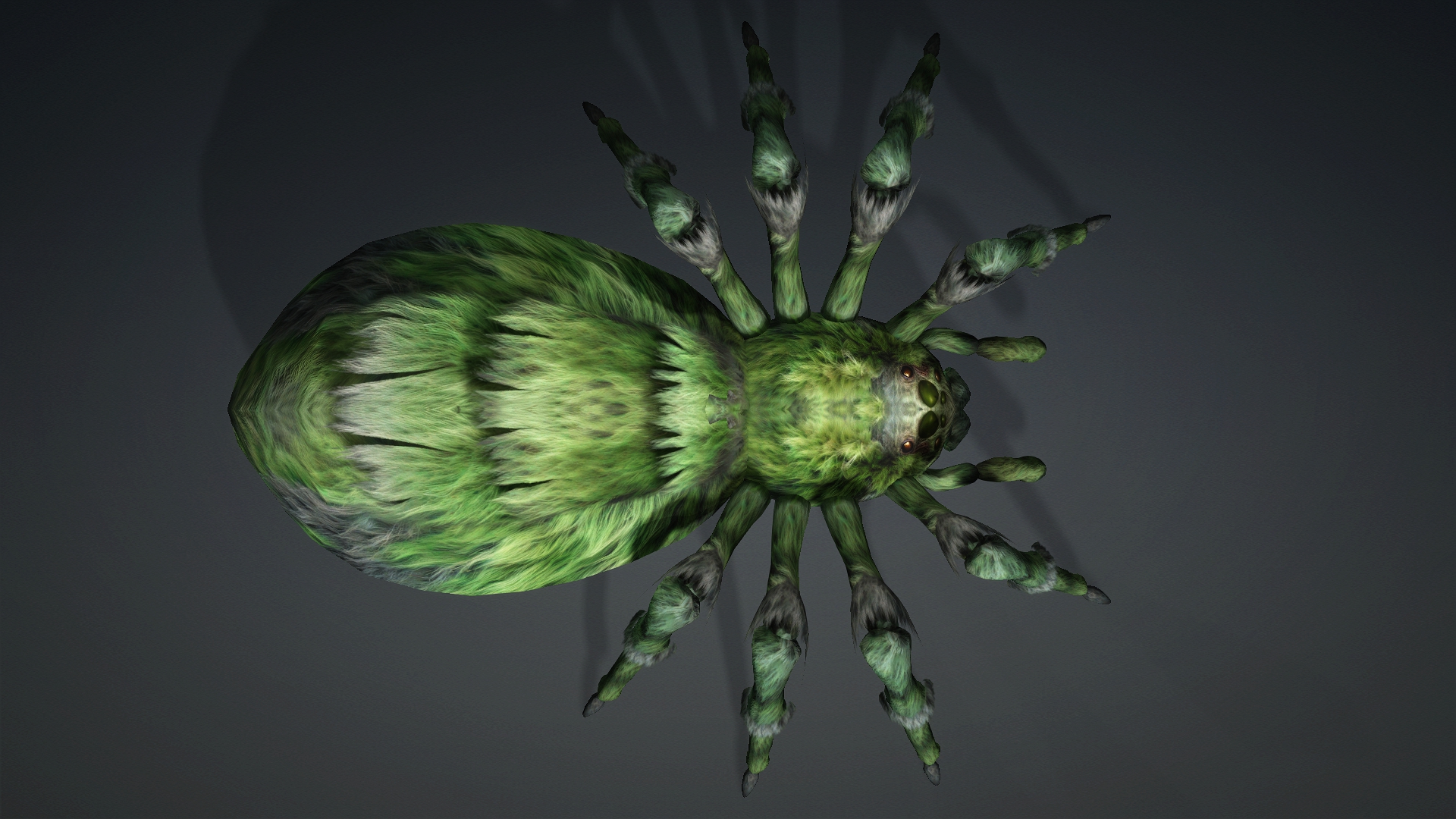 Spider_B4 - Image 6