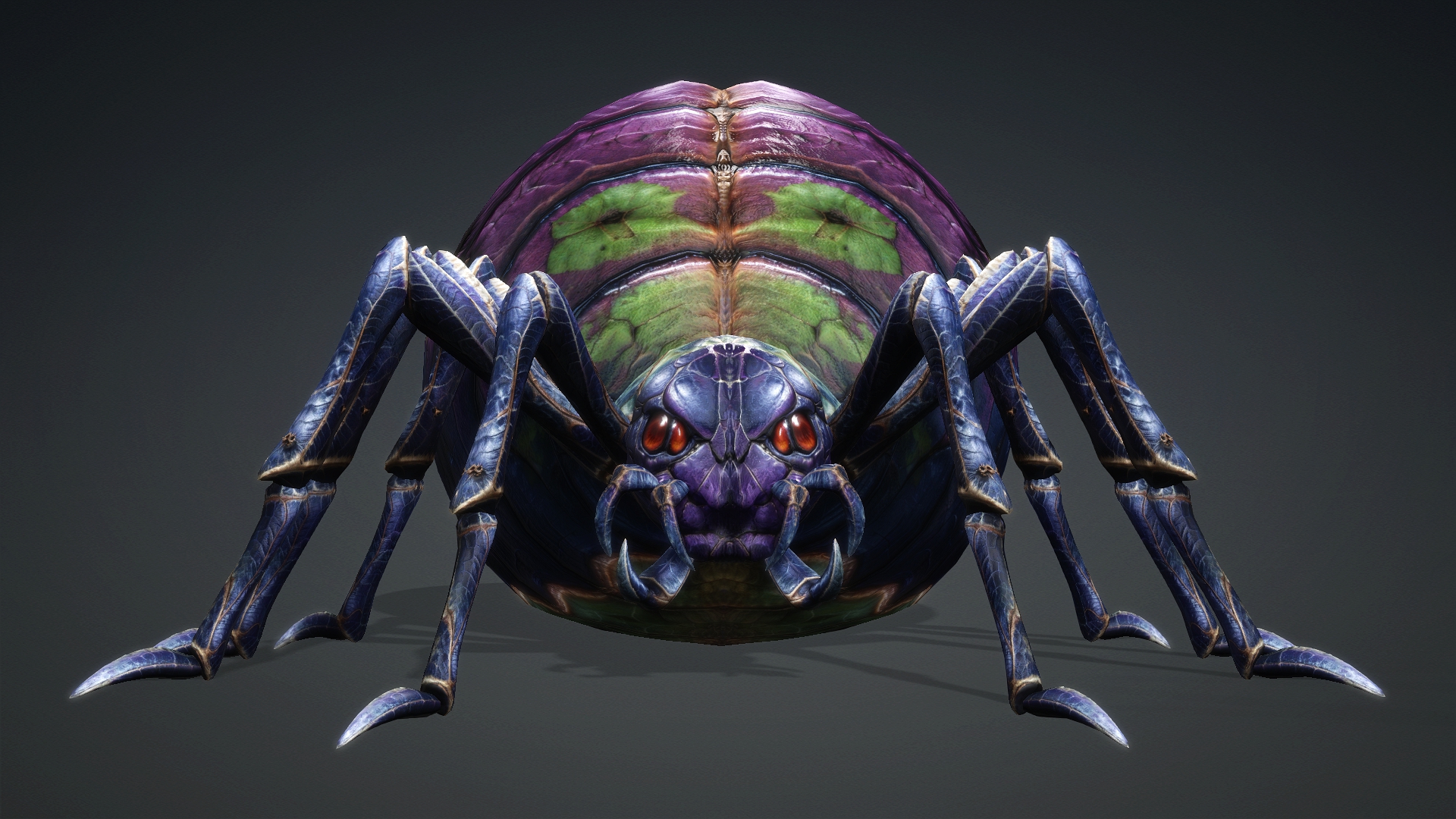 Spider_C3 - Image 6