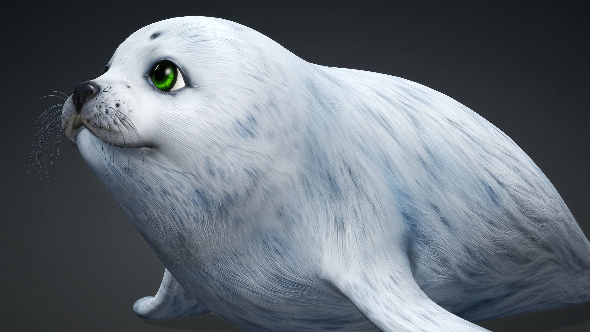 Harp Seal_A5 - Image 6
