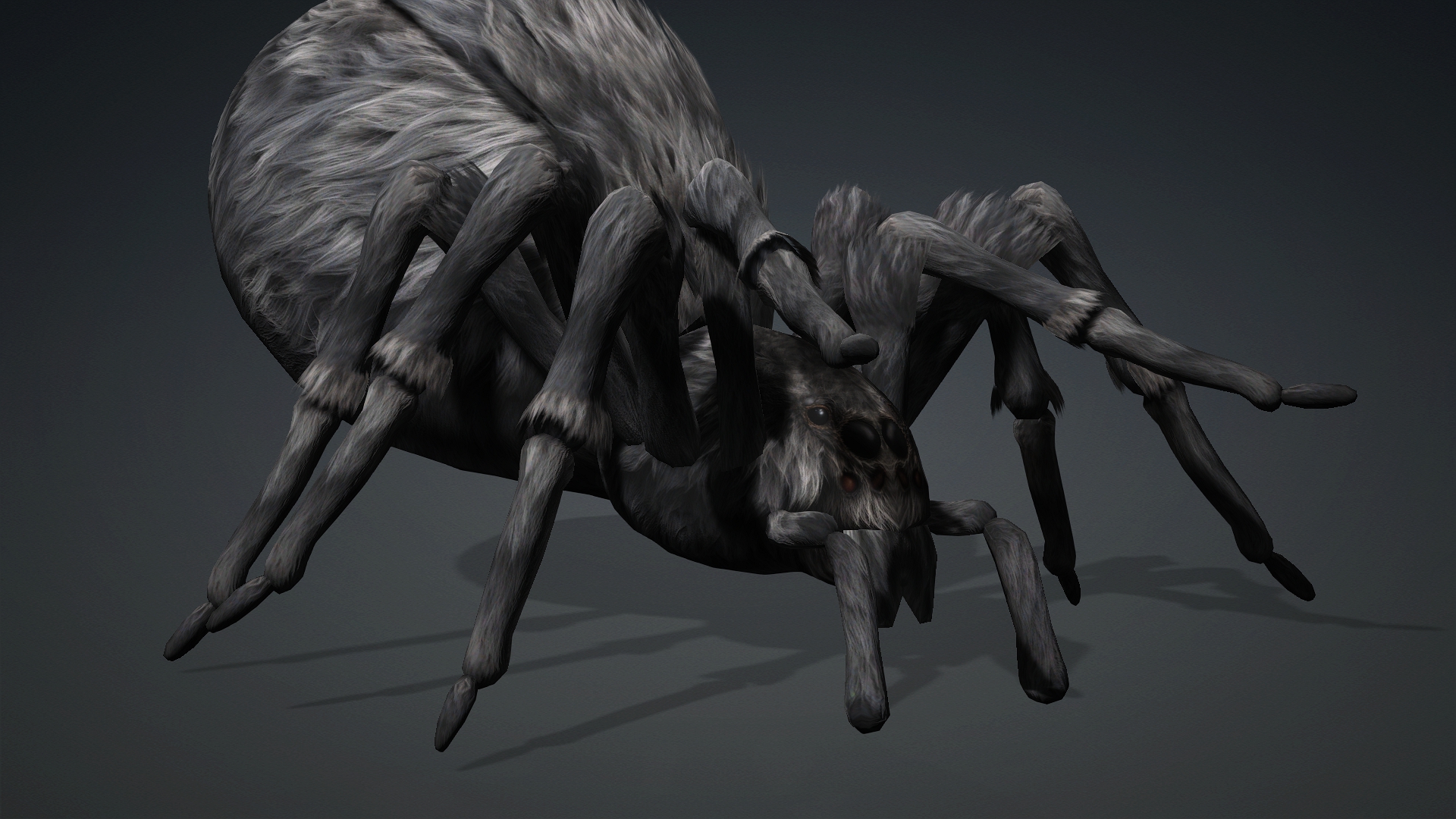 Spider_B2 - Image 7