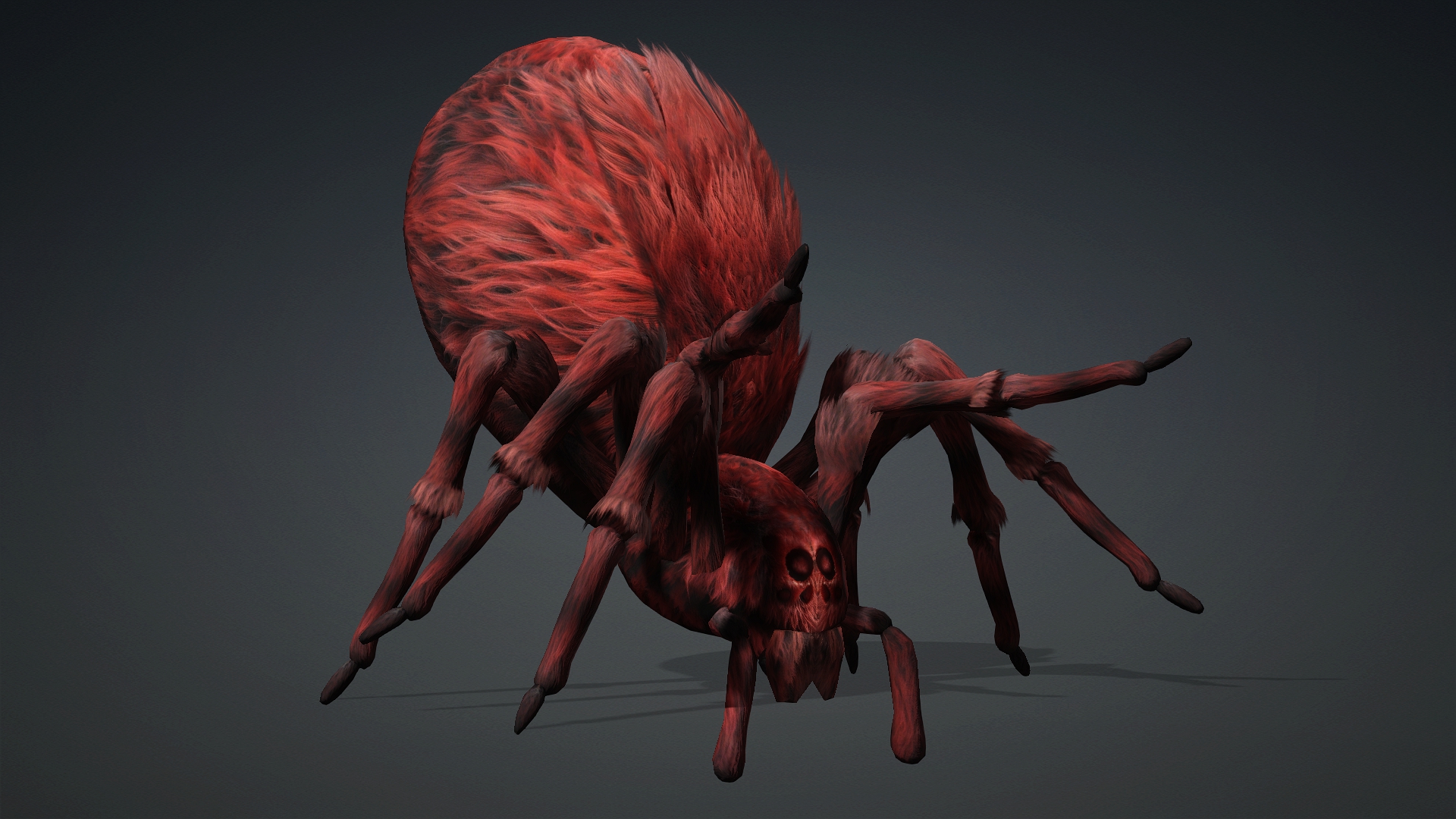 Spider_B3 - Image 7
