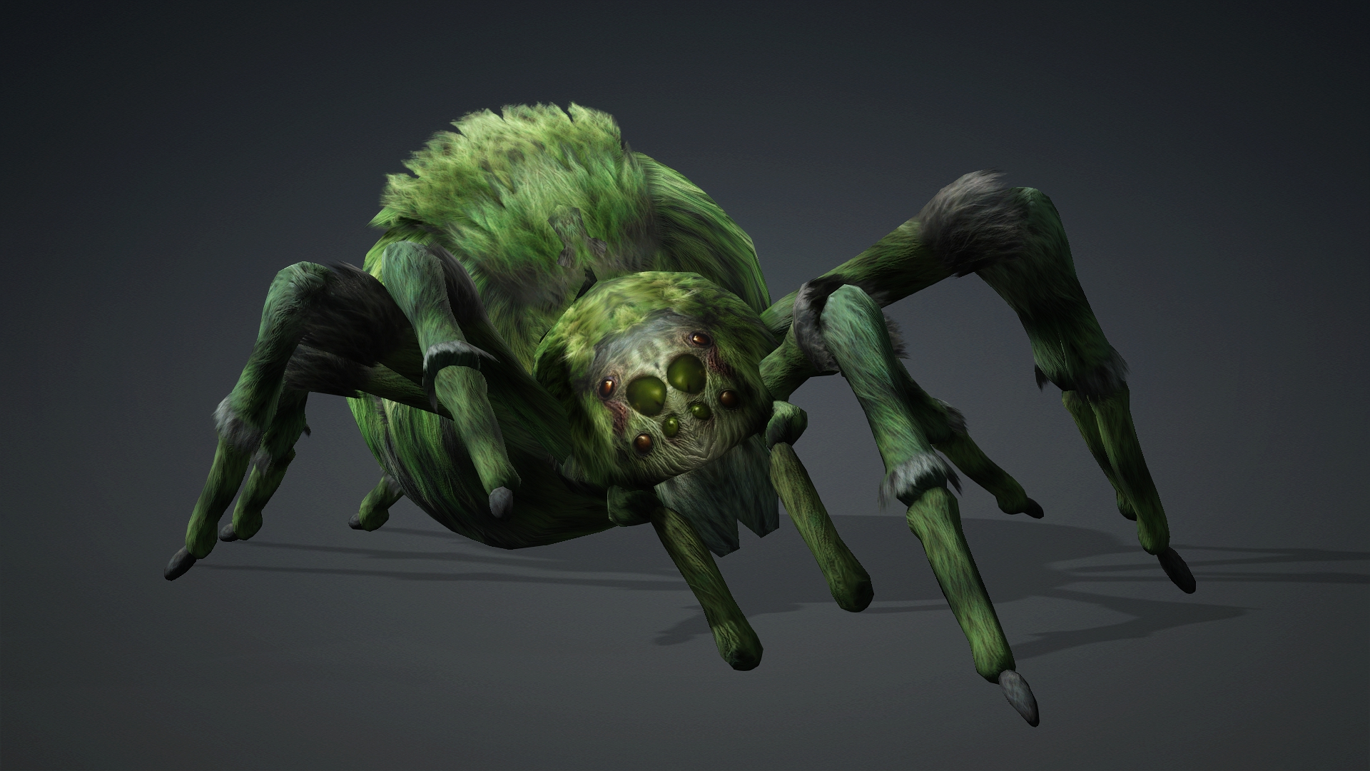 Spider_B4 - Image 7