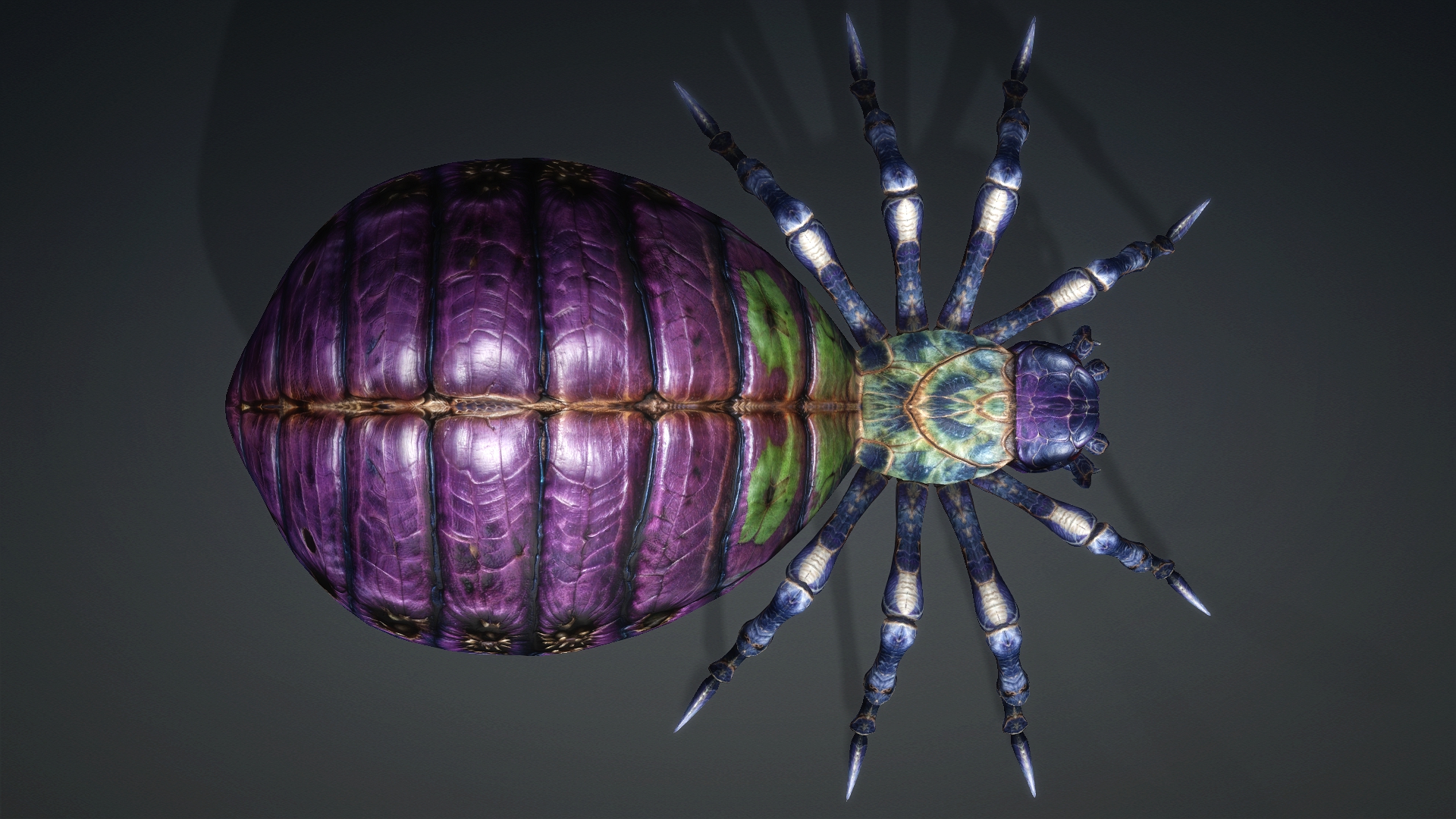 Spider_C3 - Image 7