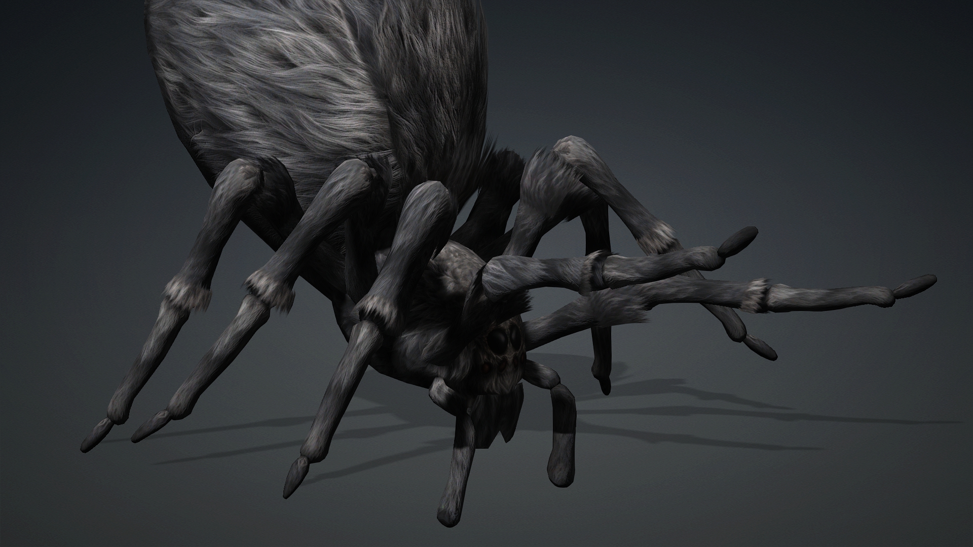Spider_B2 - Image 8