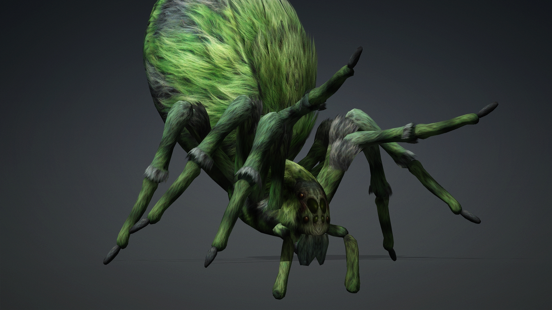 Spider_B4 - Image 8