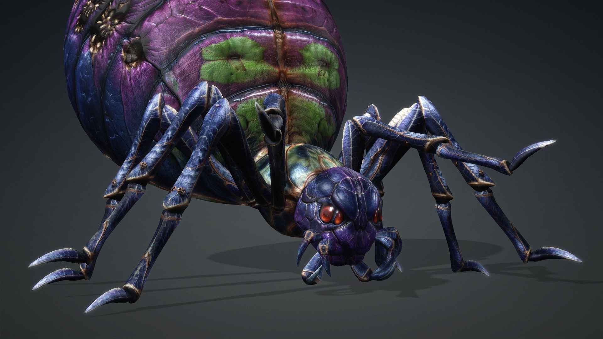 Spider_C3 - Image 8