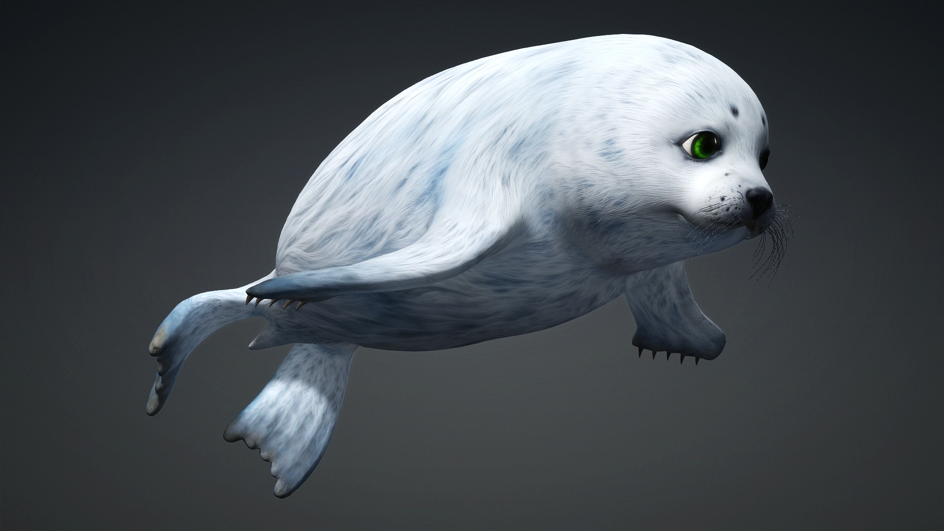 Harp Seal_A5 - Image 8