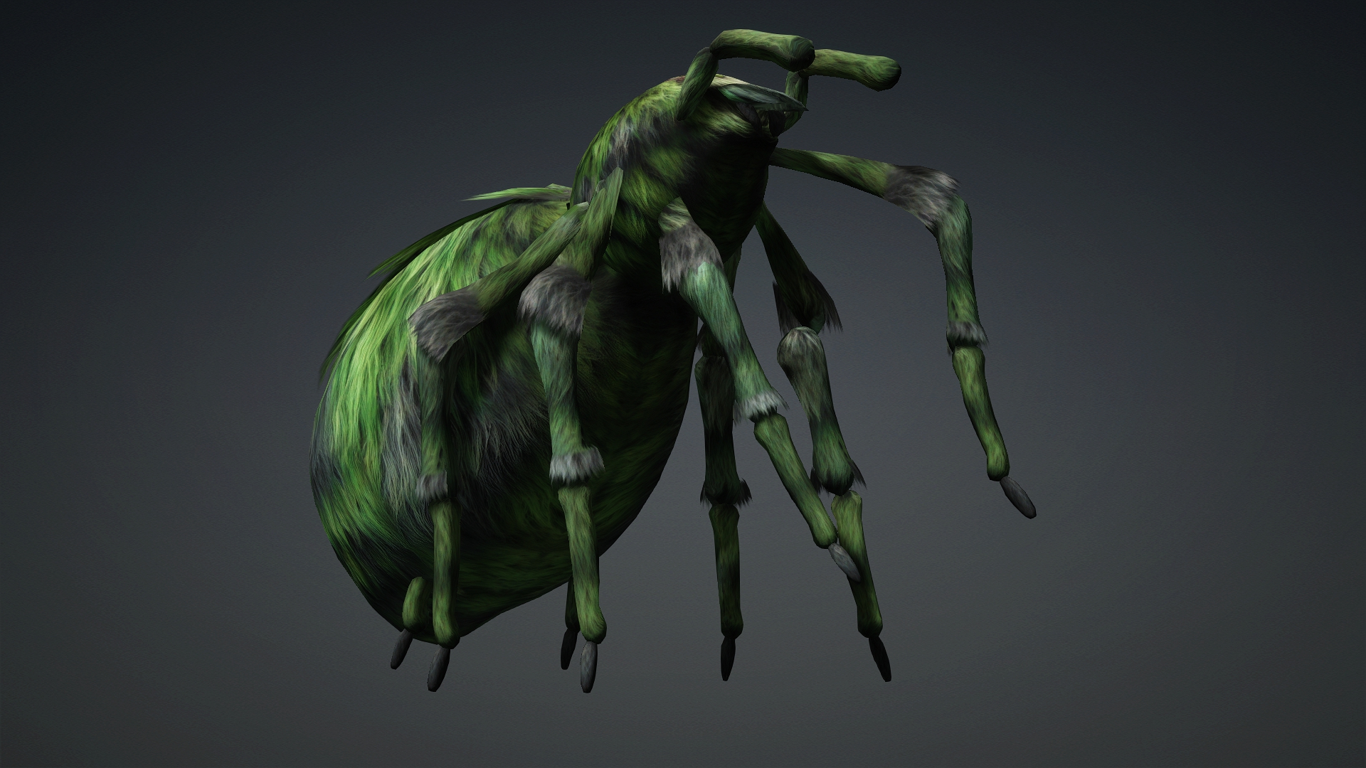 Spider_B4 - Image 9