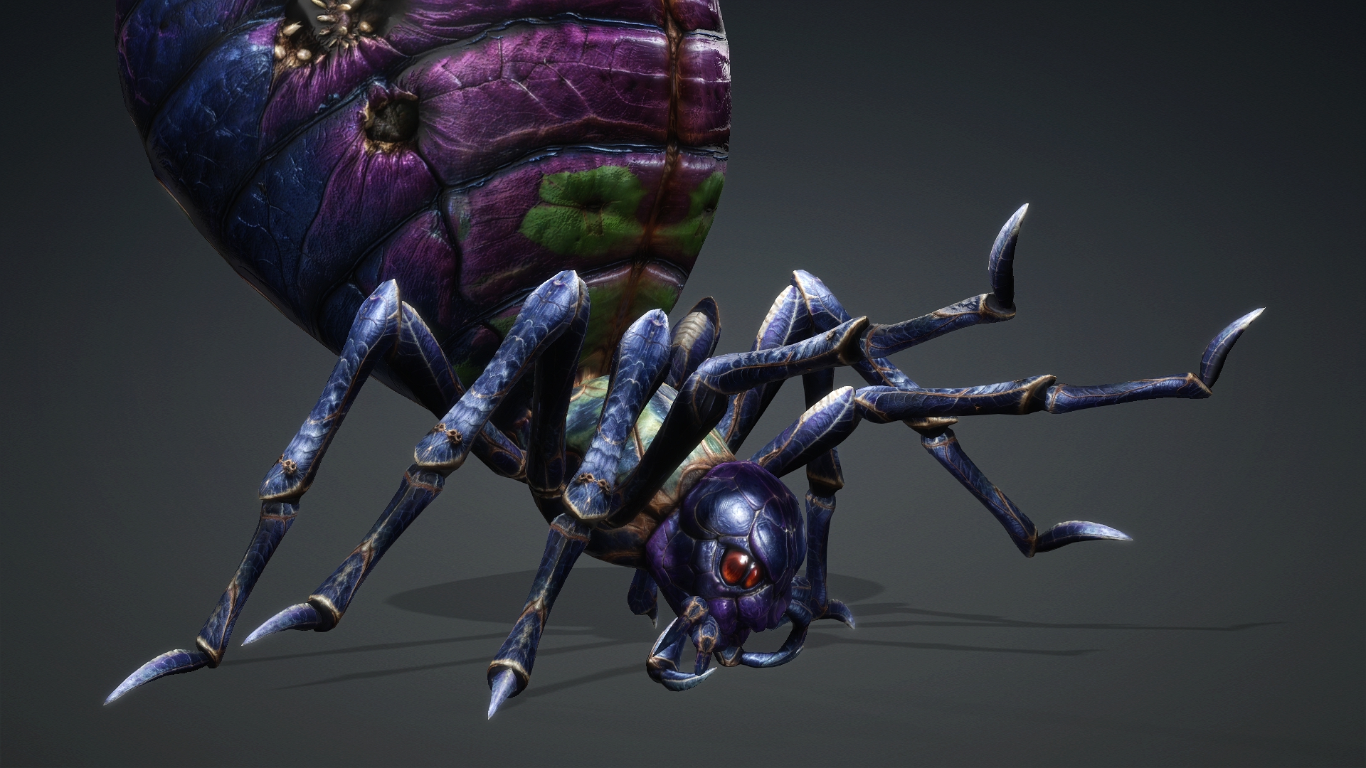 Spider_C3 - Image 9