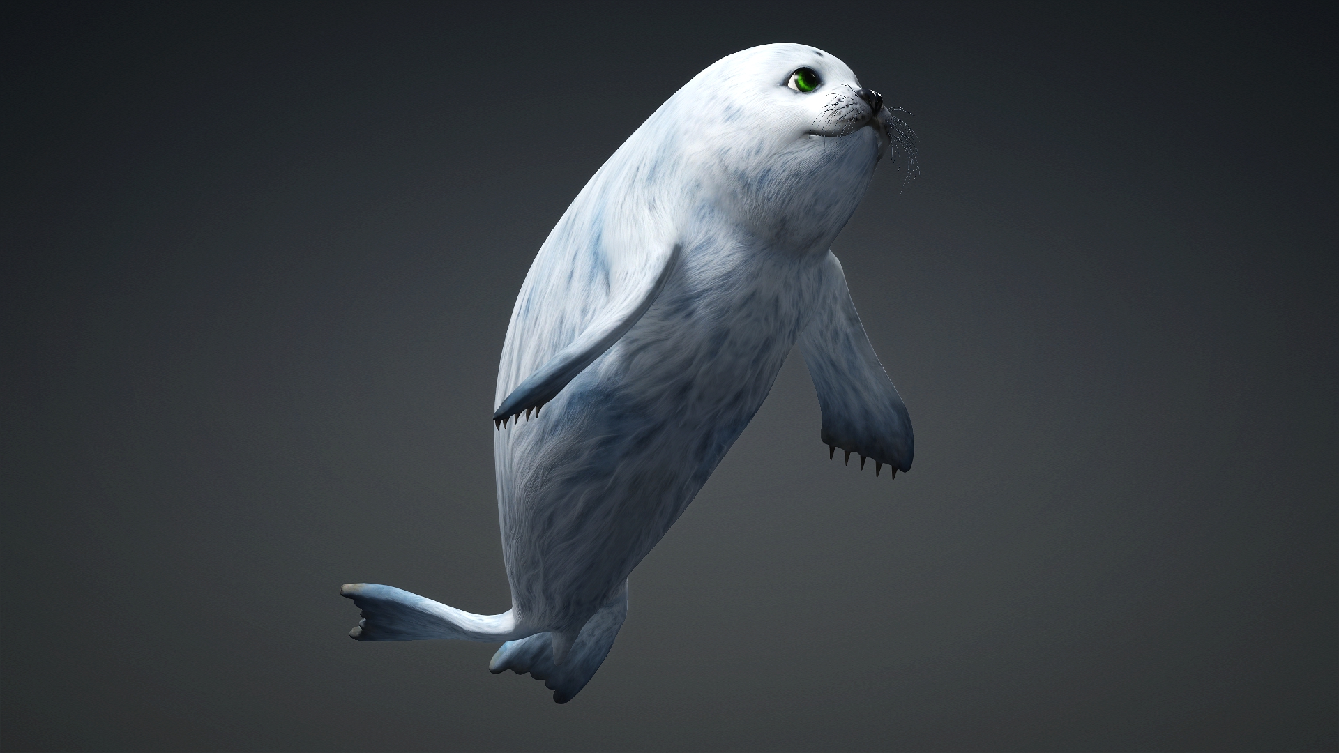 Harp Seal_A5 - Image 9