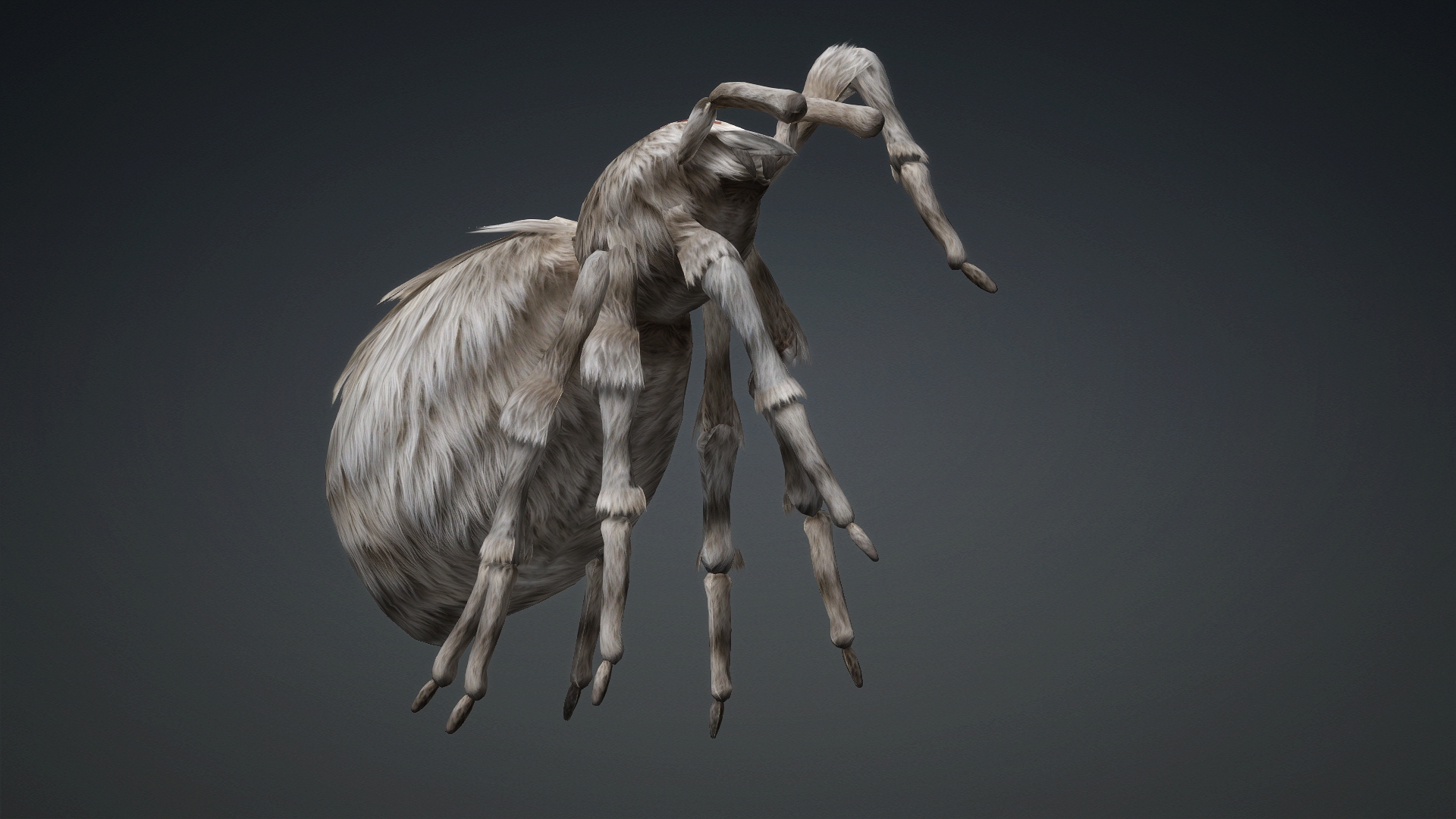 Spider_B1 - Image 10