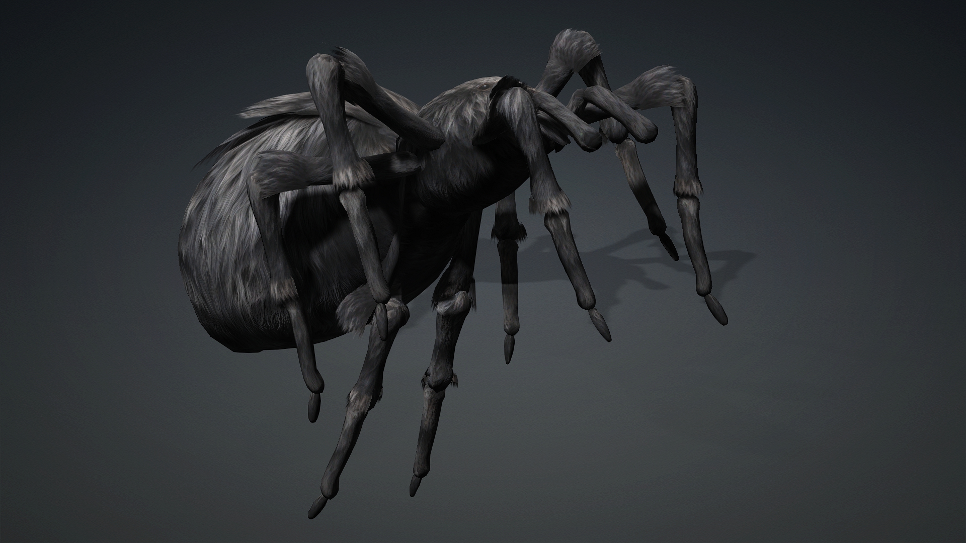 Spider_B2 - Image 10