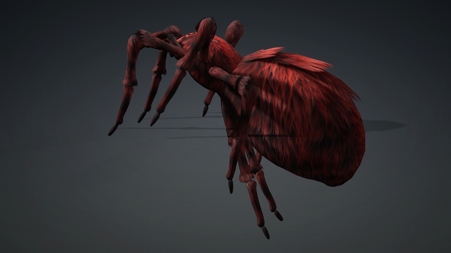 Spider_B3 - Image 10