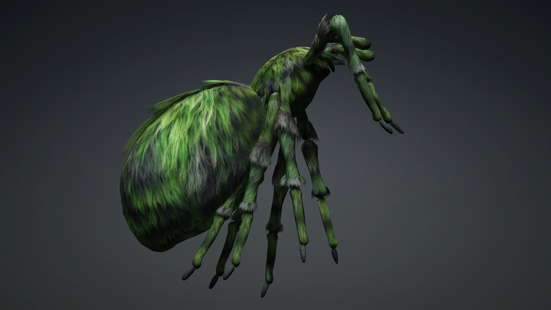 Spider_B4 - Image 10