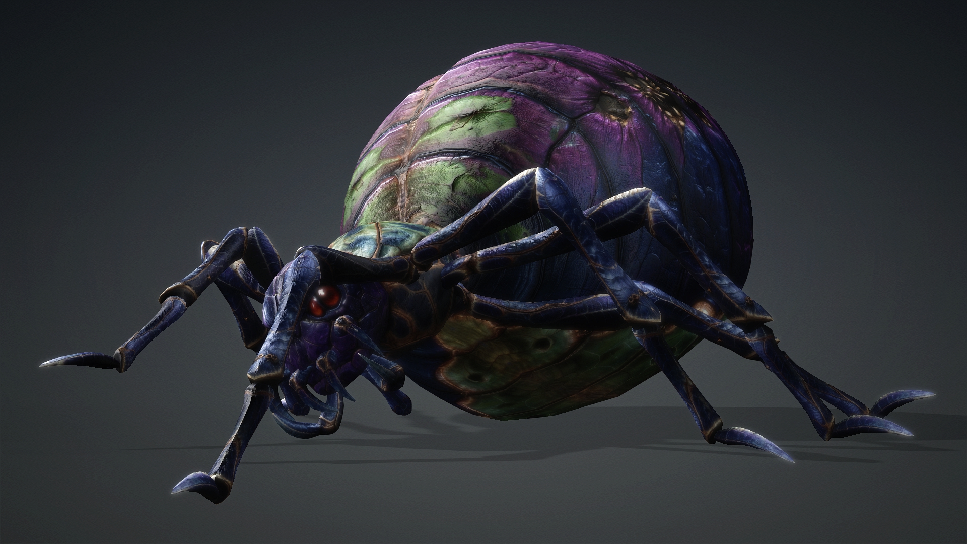 Spider_C3 - Image 10