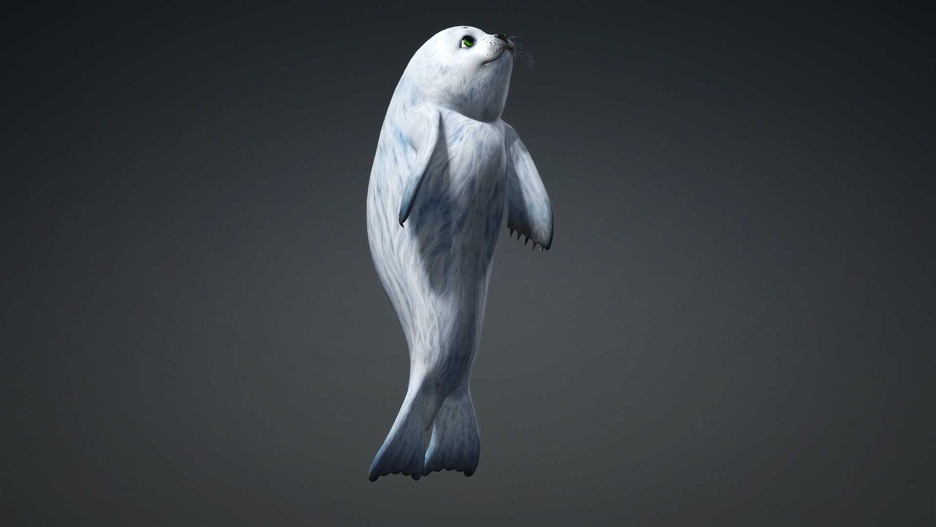 Harp Seal_A5 - Image 10