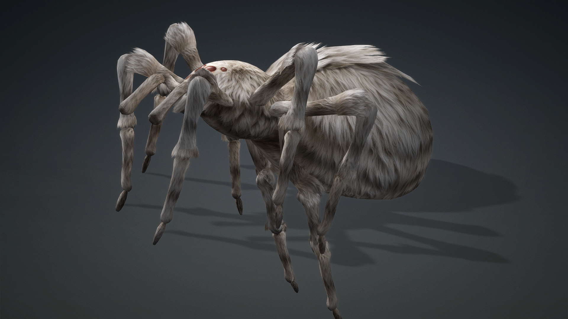 Spider_B1 - Image 11