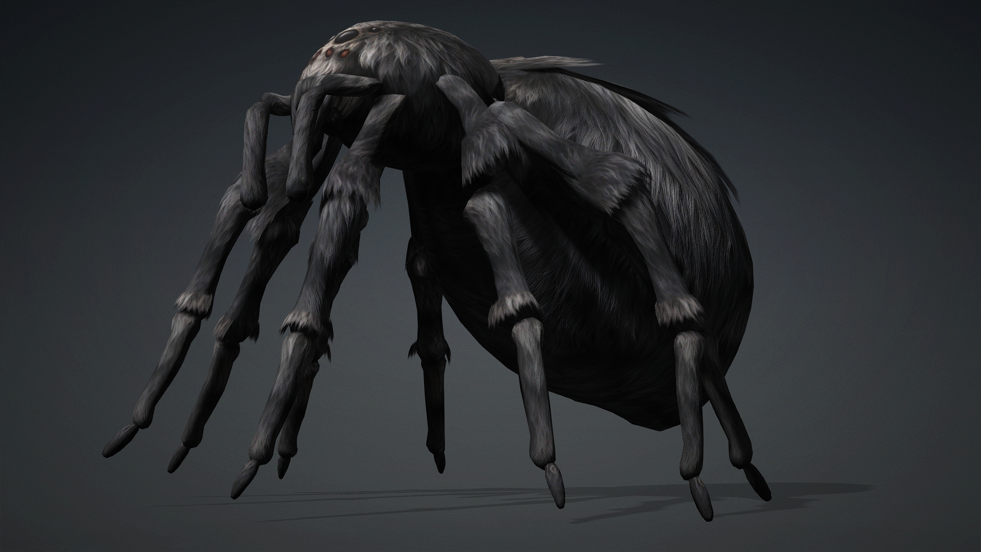 Spider_B2 - Image 11