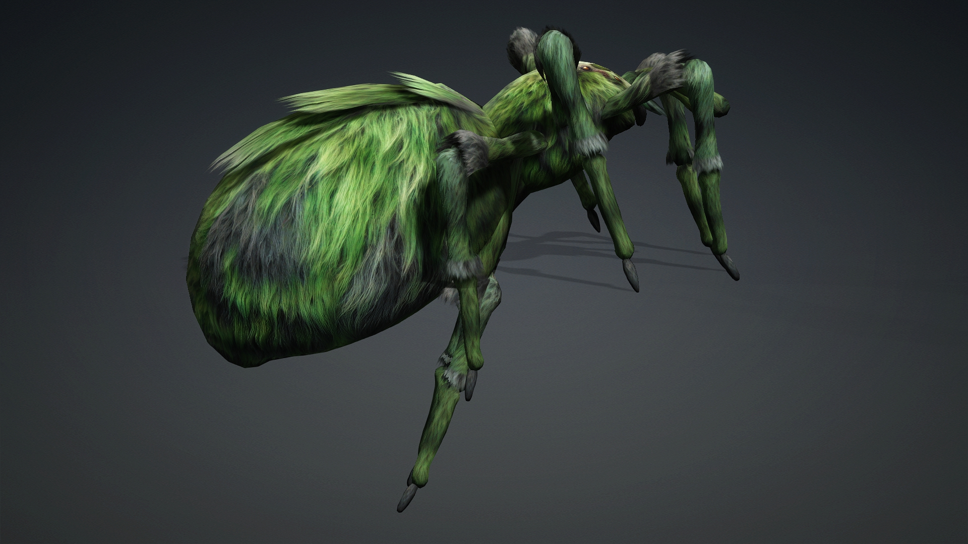 Spider_B4 - Image 11