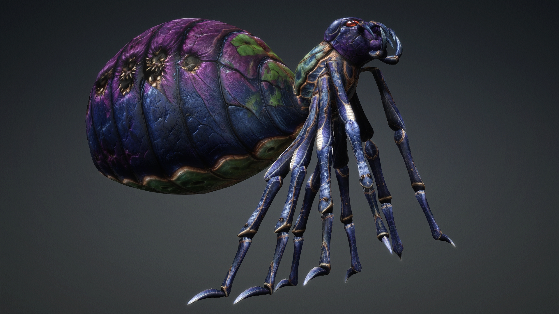 Spider_C3 - Image 11