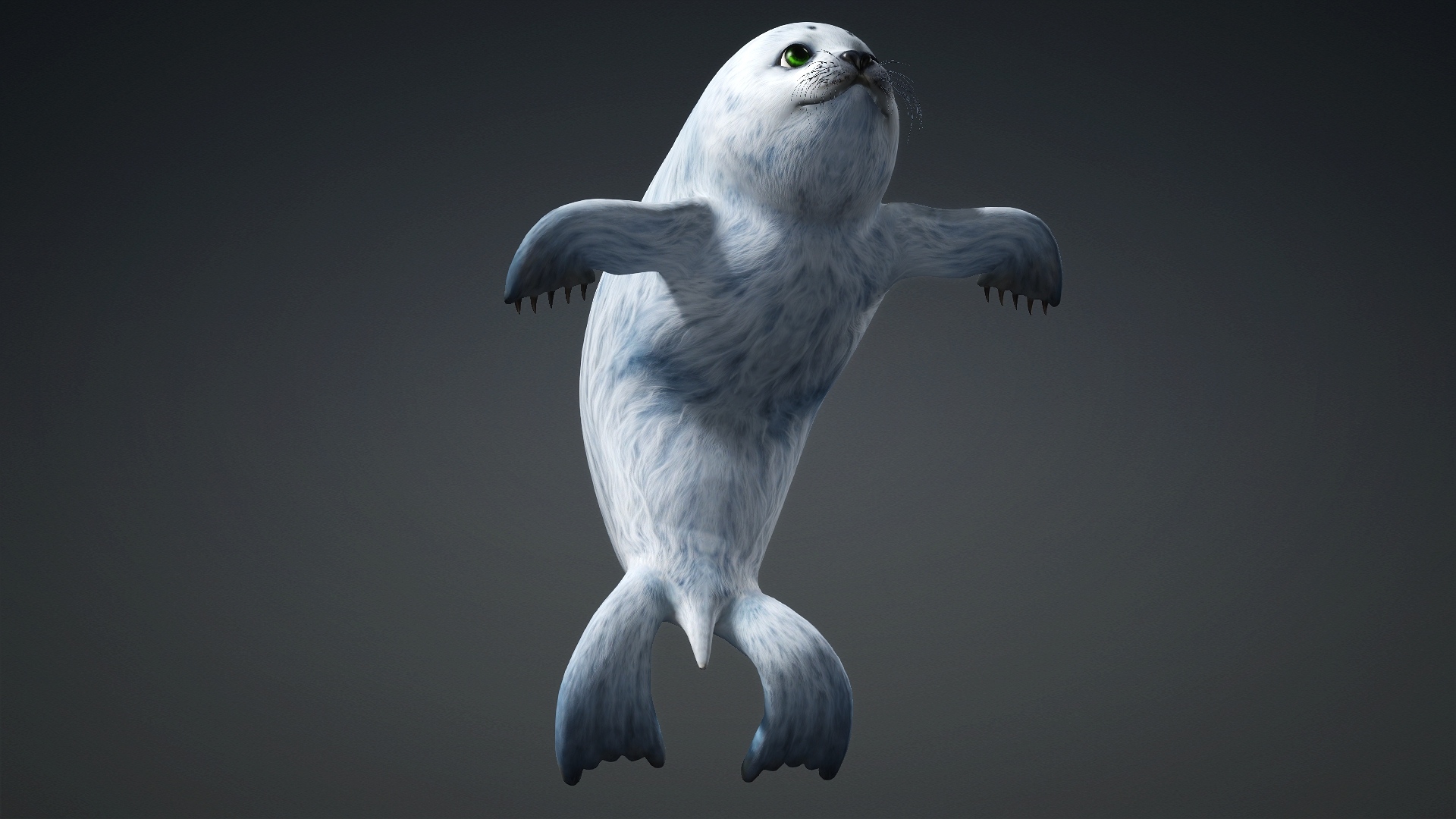 Harp Seal_A5 - Image 11