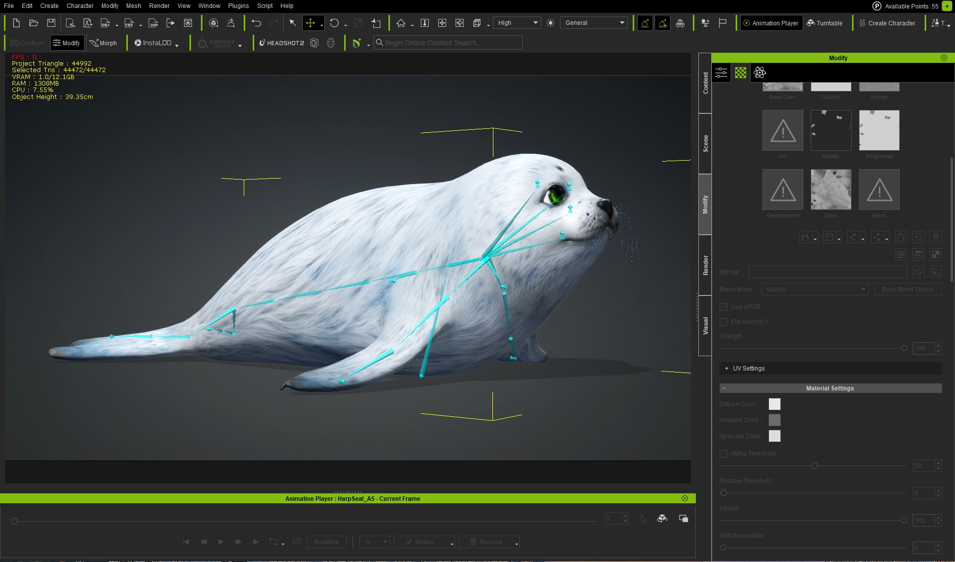 Harp Seal_A5 - Image 18