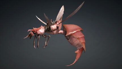 Alternative view of Bee Monster_B4