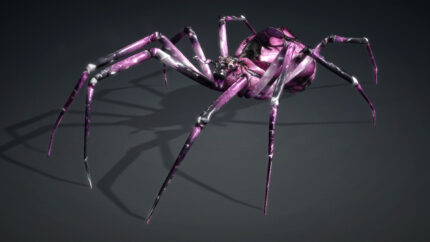 Alternative view of Spider_V6b
