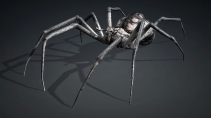 Alternative view of Spider_V6e